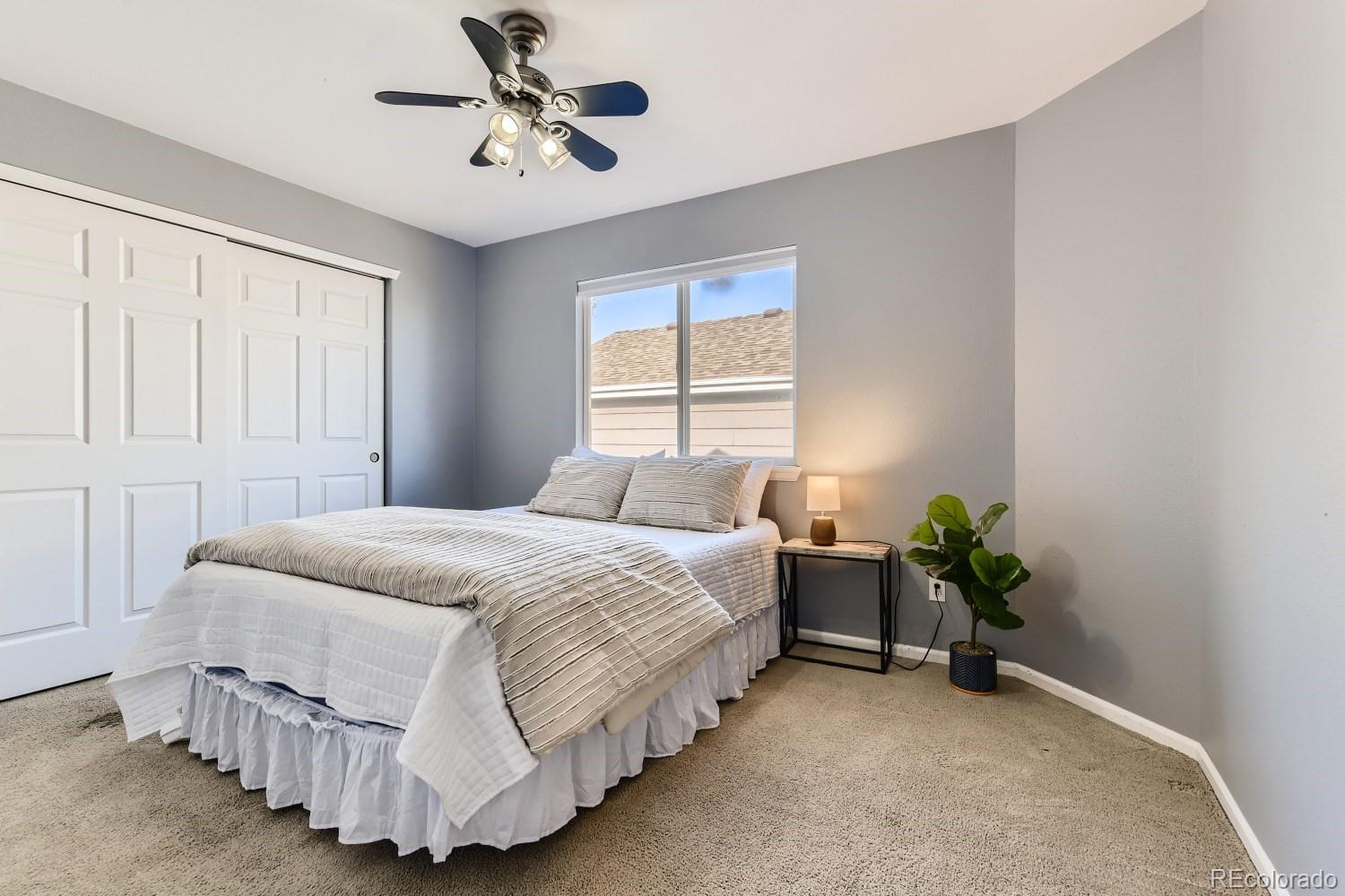 9505 High Cliffe Street Highlands Ranch, CO 80129 - Photo 19 of 24 Gallery Image 19