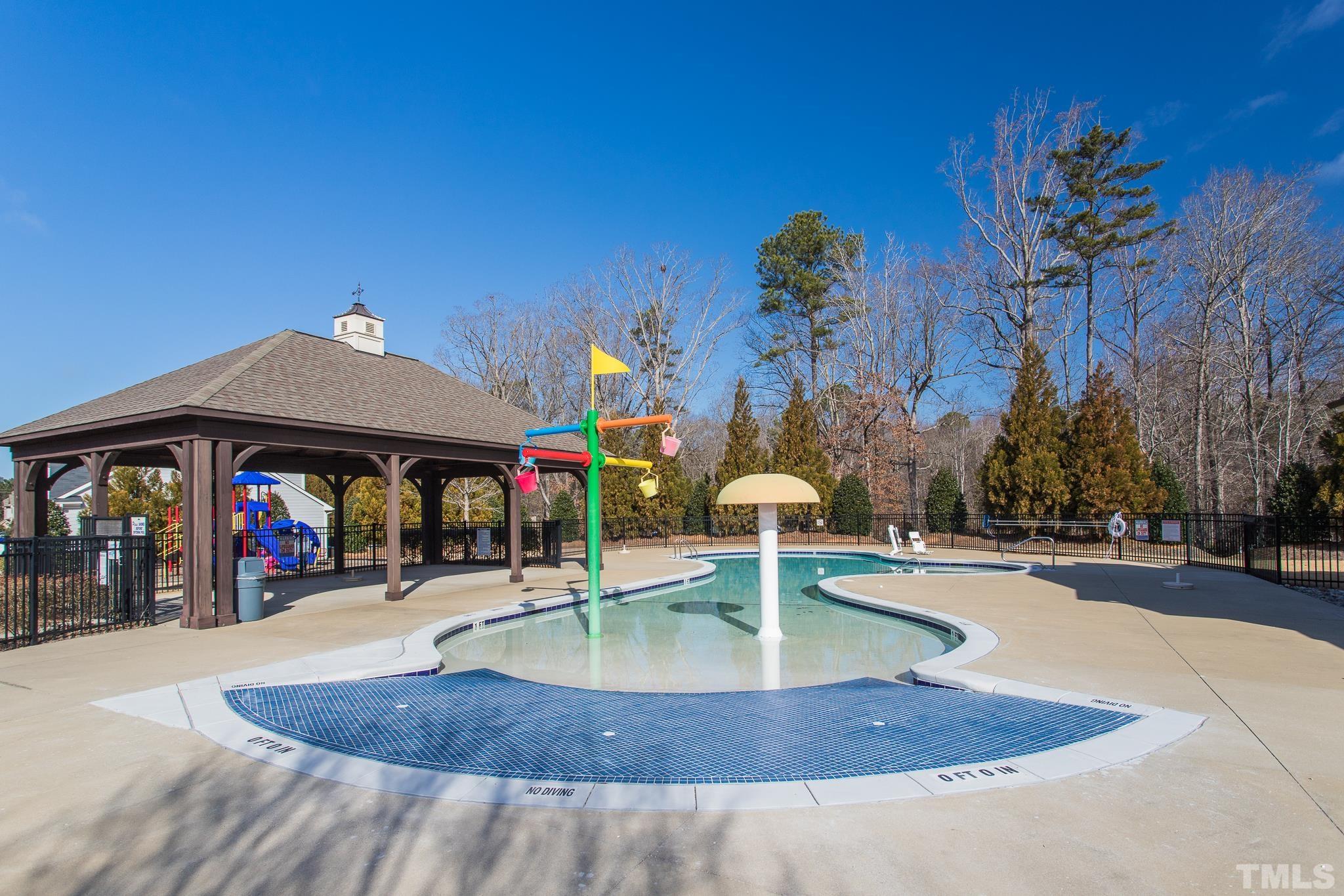 826 Wickham Ridge Road Apex, NC 27539 - Photo 46 of 47 an outdoor space with lots of palm trees