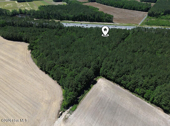4.47-ac Purdy Matthews Road Wade, NC 28395 - Photo 17 of 25