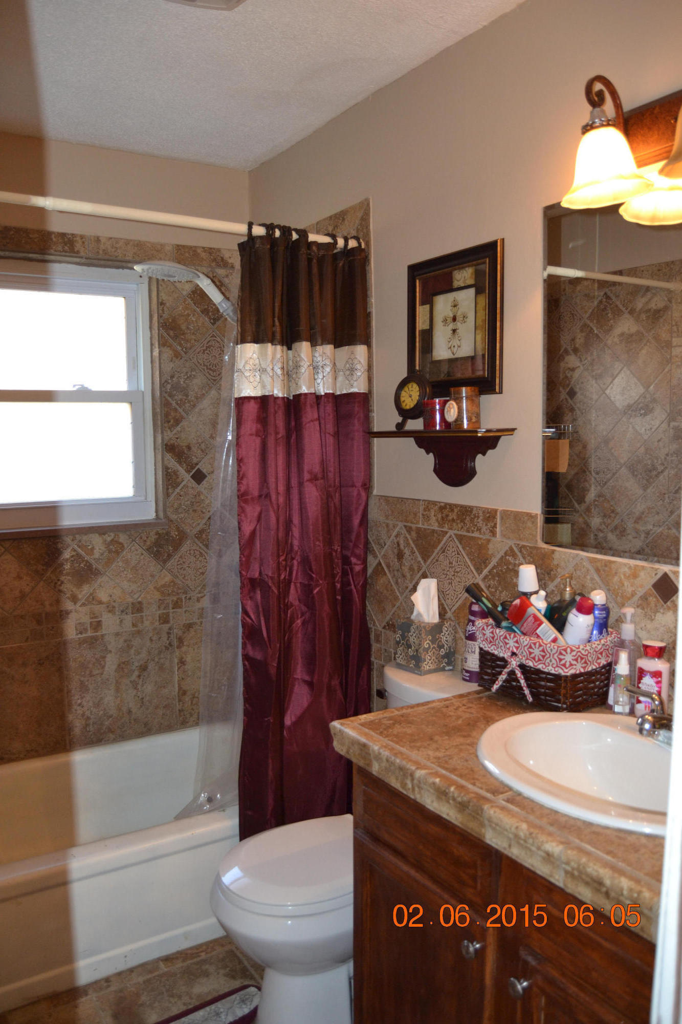 160 Swan Seymour Road Maynardville, TN 37807 - Photo 12 of 17 Bathroom