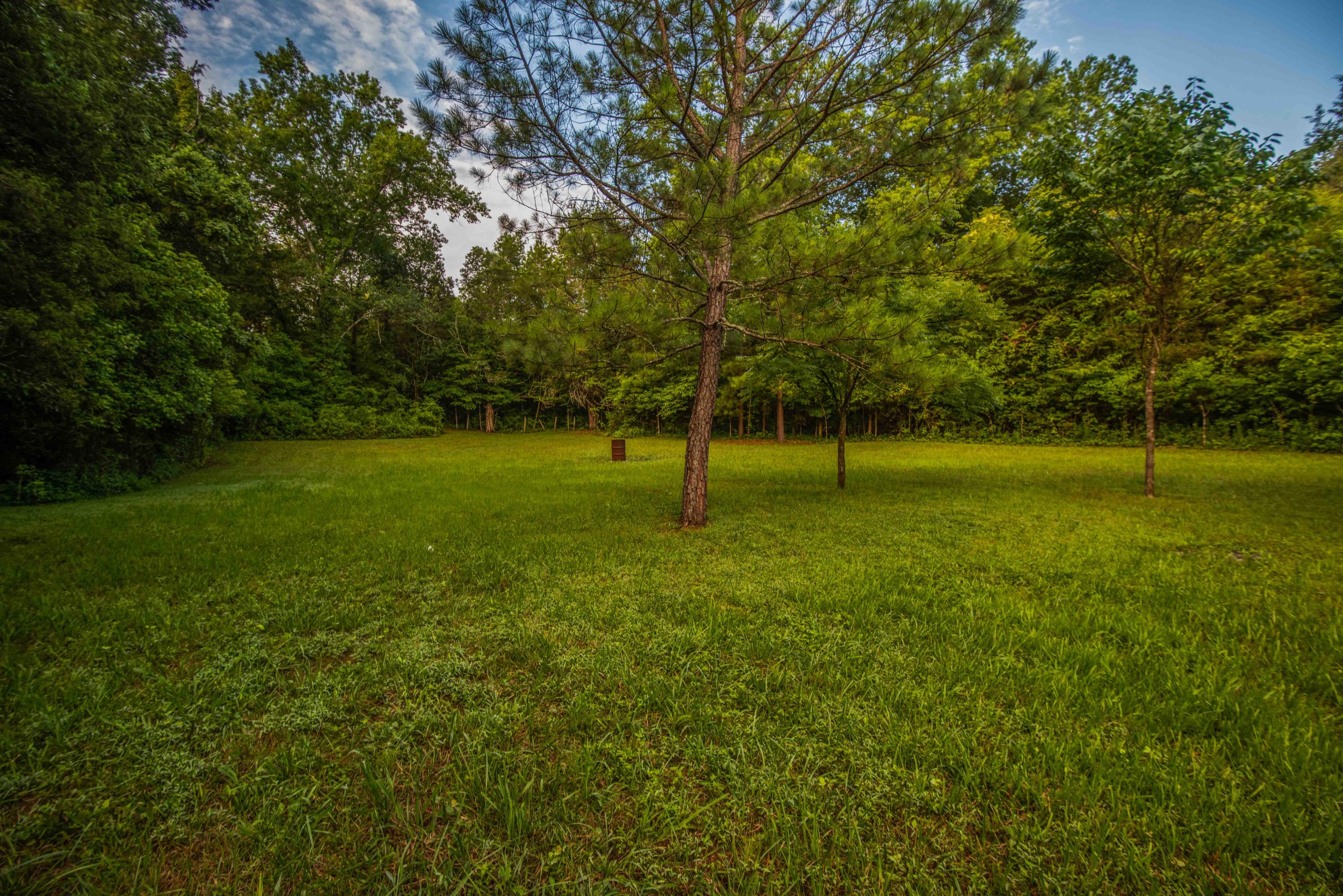 7905 Corryton Luttrell Road Corryton, TN 37721 - Photo 13 of 38 154F55C0-15C3-4702-A73E-50FDA5D3132E