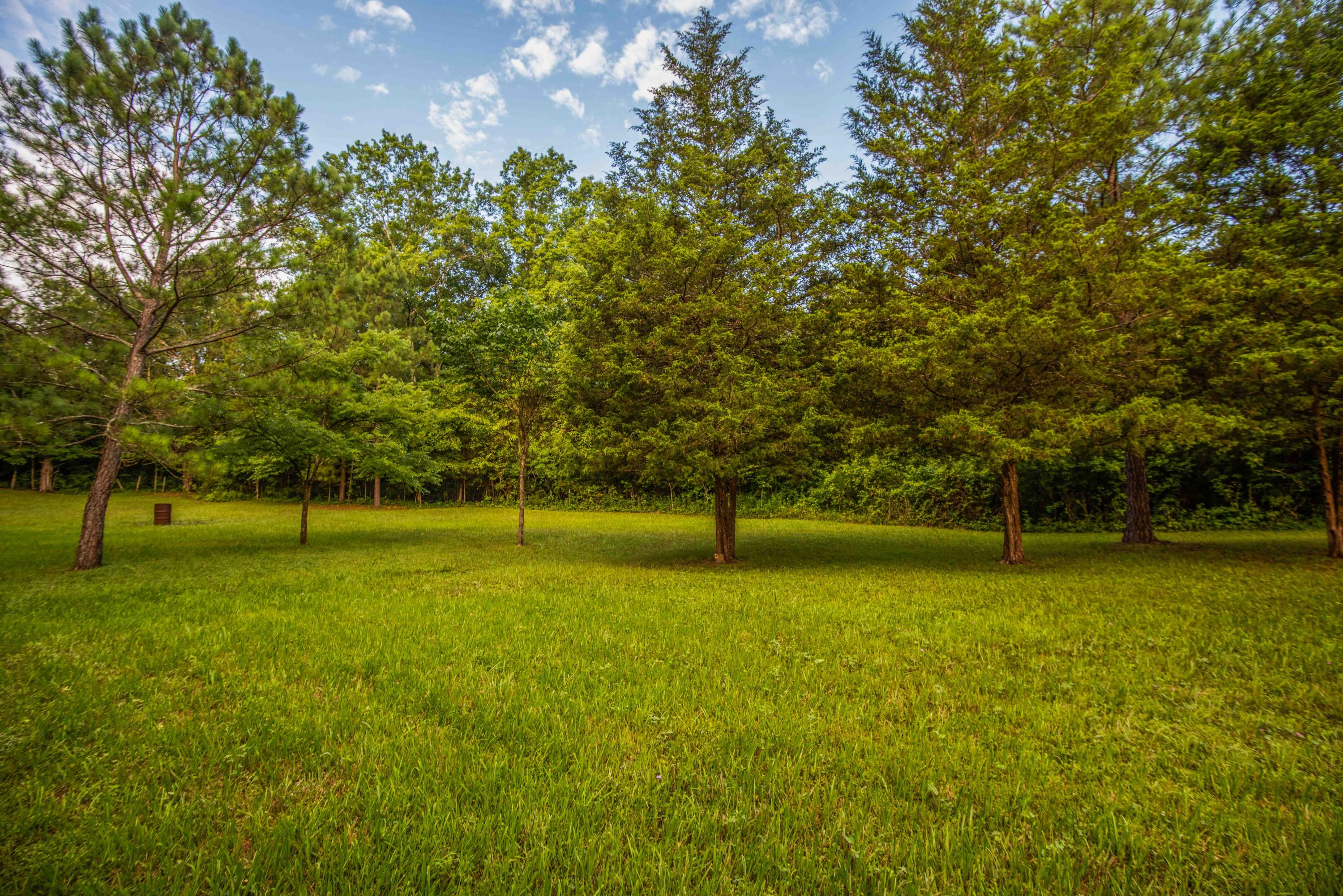 7905 Corryton Luttrell Road Corryton, TN 37721 - Photo 14 of 38 2D9C1BD4-4D3A-4900-B5E6-2E6DFEE9BF44