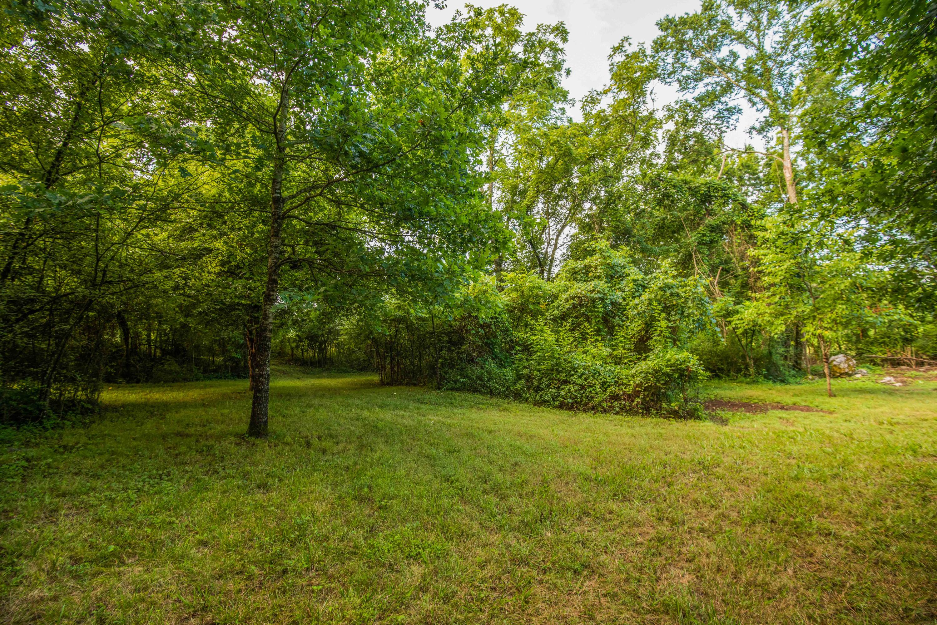 7905 Corryton Luttrell Road Corryton, TN 37721 - Photo 17 of 38 4A328782-ED72-4CD4-A6E0-29BF0E7ED077