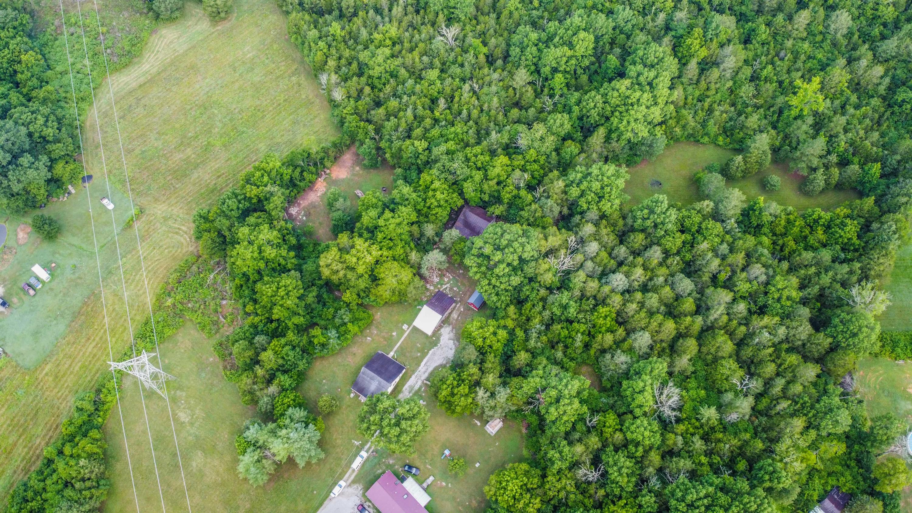 7905 Corryton Luttrell Road Corryton, TN 37721 - Photo 21 of 38 8A3B0EF4-465F-4DB8-A099-59BF0744A796