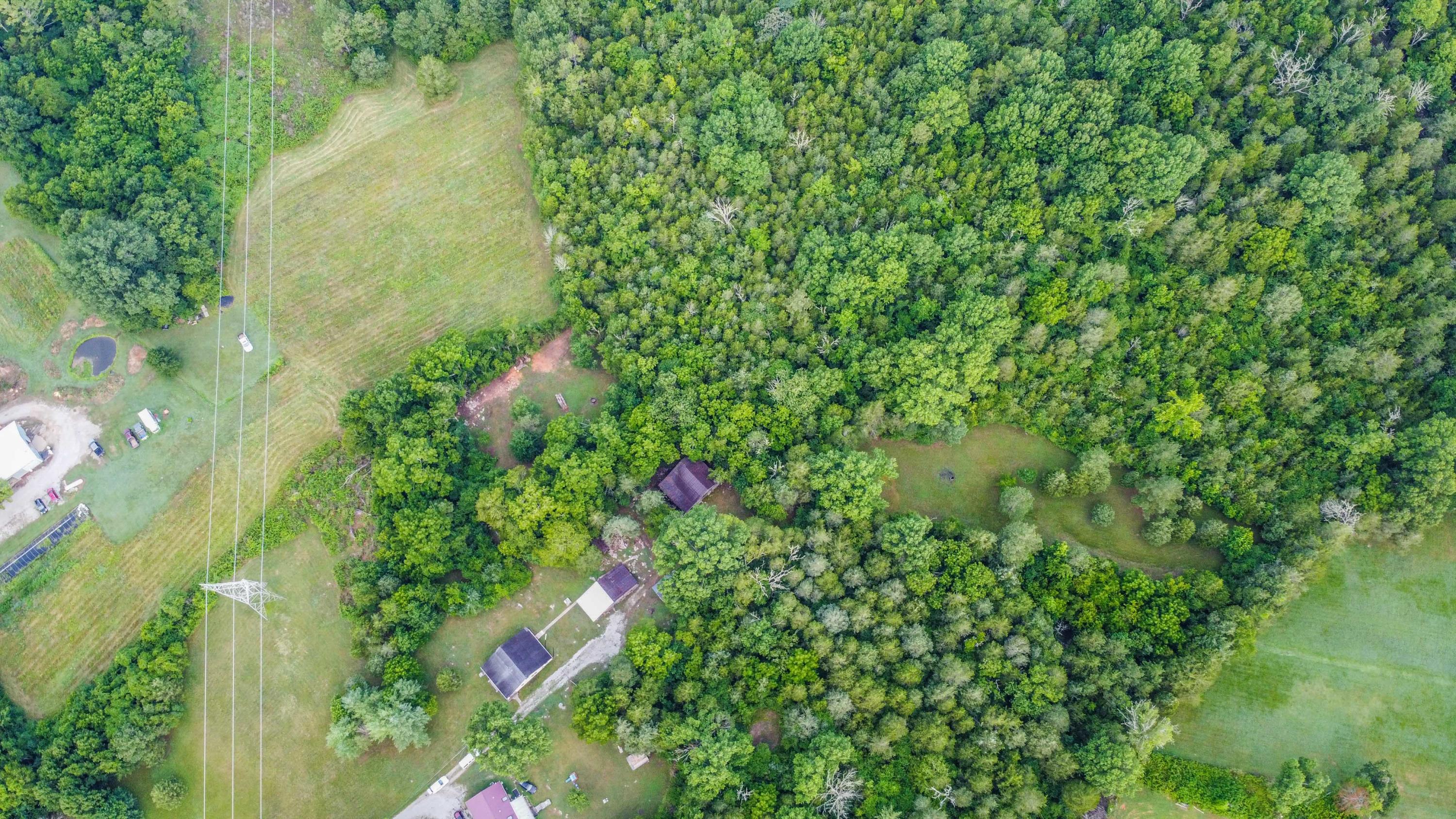 7905 Corryton Luttrell Road Corryton, TN 37721 - Photo 29 of 38 9EA5E736-F161-4BA4-A337-F9D0BAF243DF