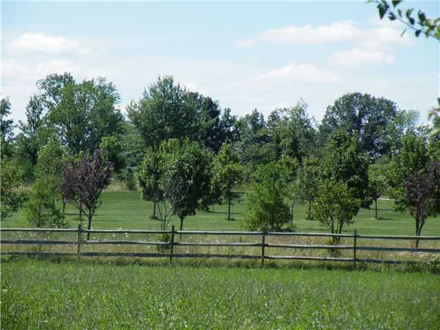0 Raintree Drive Marysville, OH 43040 - Photo 2 of 11