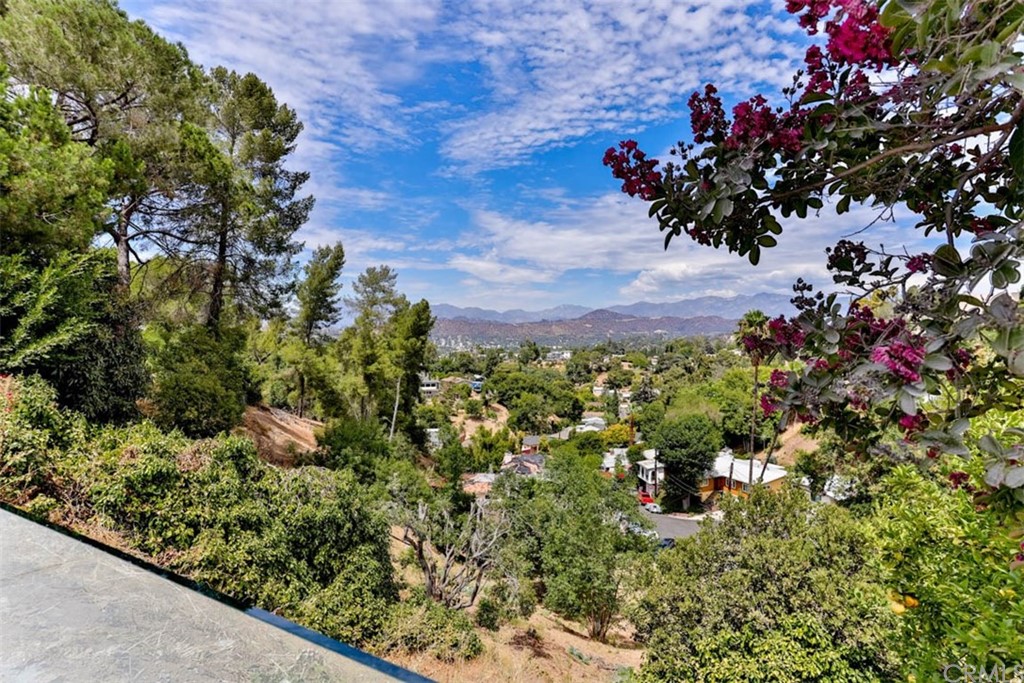 945 Oban Drive Los Angeles, CA 90065 - Photo 2 of 60 a view of a garden with a flower and flowers