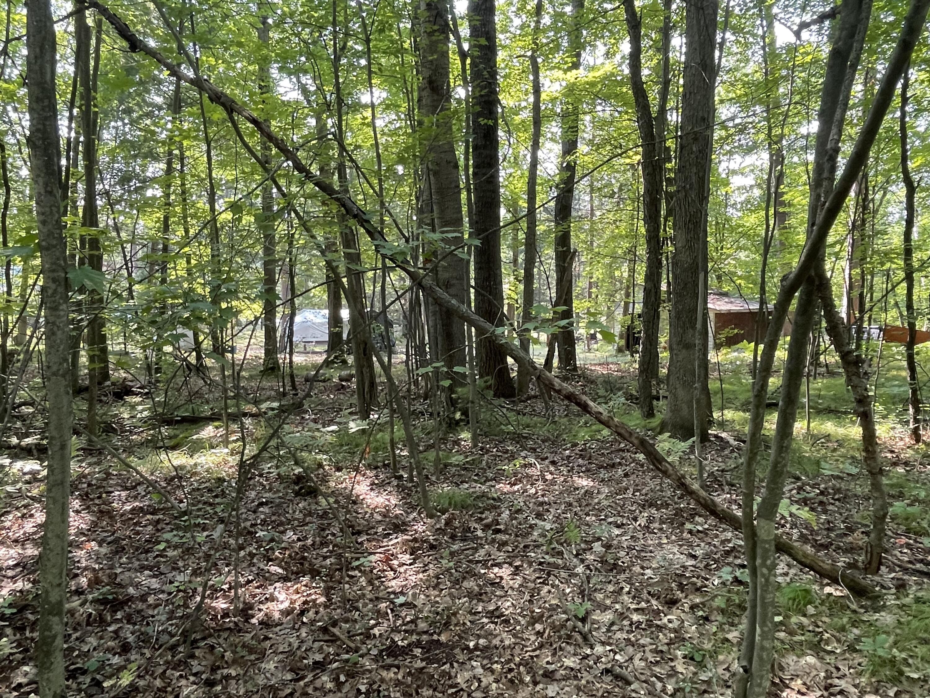 4122 Lone Pine Road Harrison, MI 48625 - Photo 35 of 39 IMG_6967