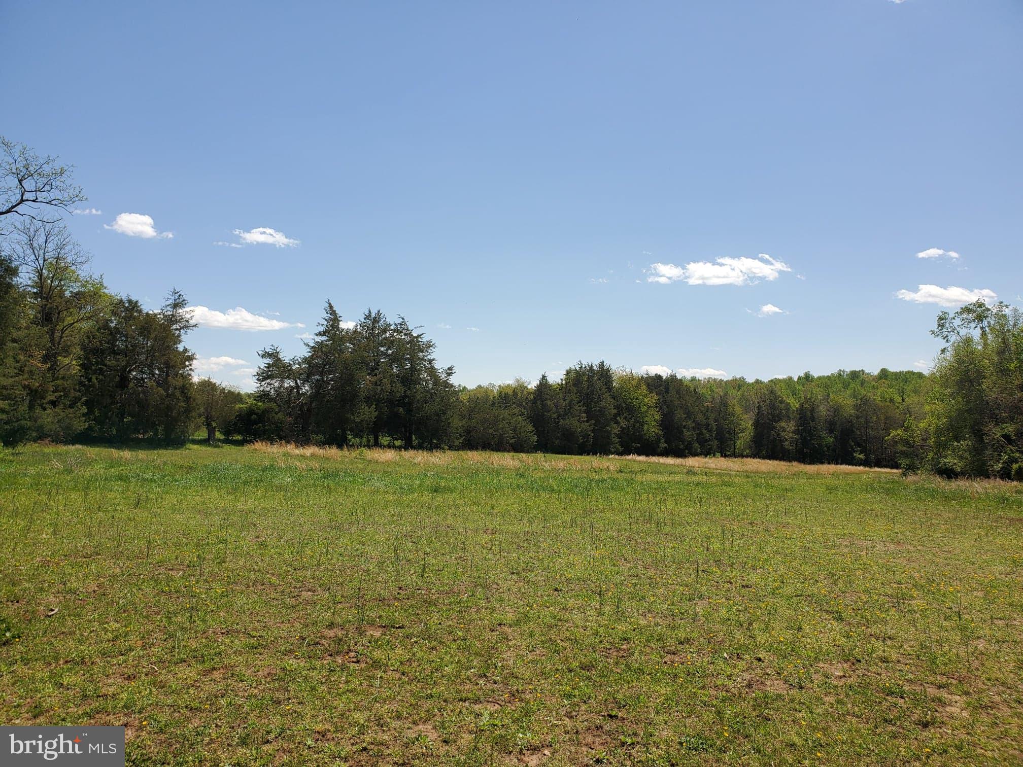 Reva Road Boston, VA 22713 - Photo 16 of 31