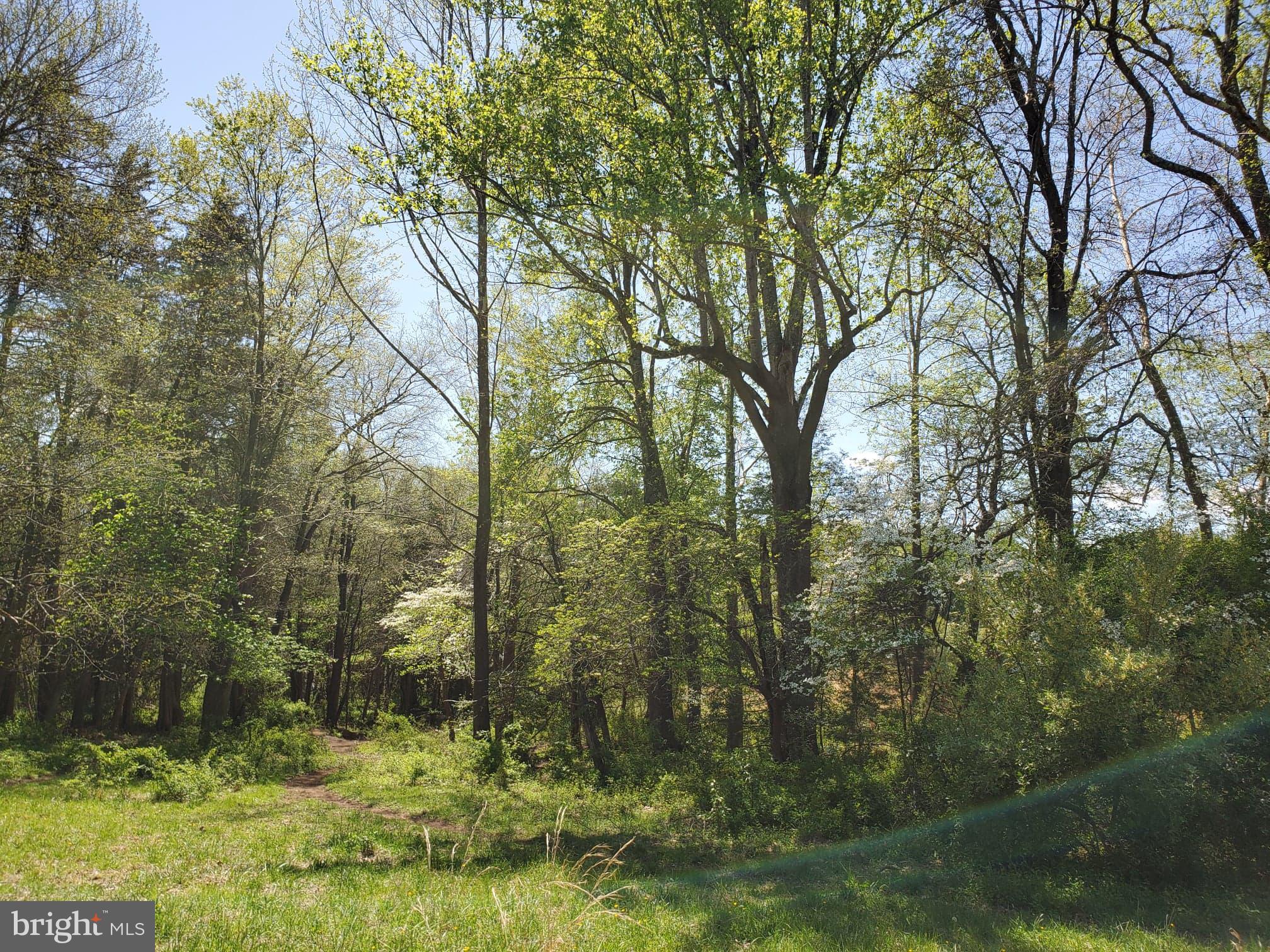Reva Road Boston, VA 22713 - Photo 10 of 31