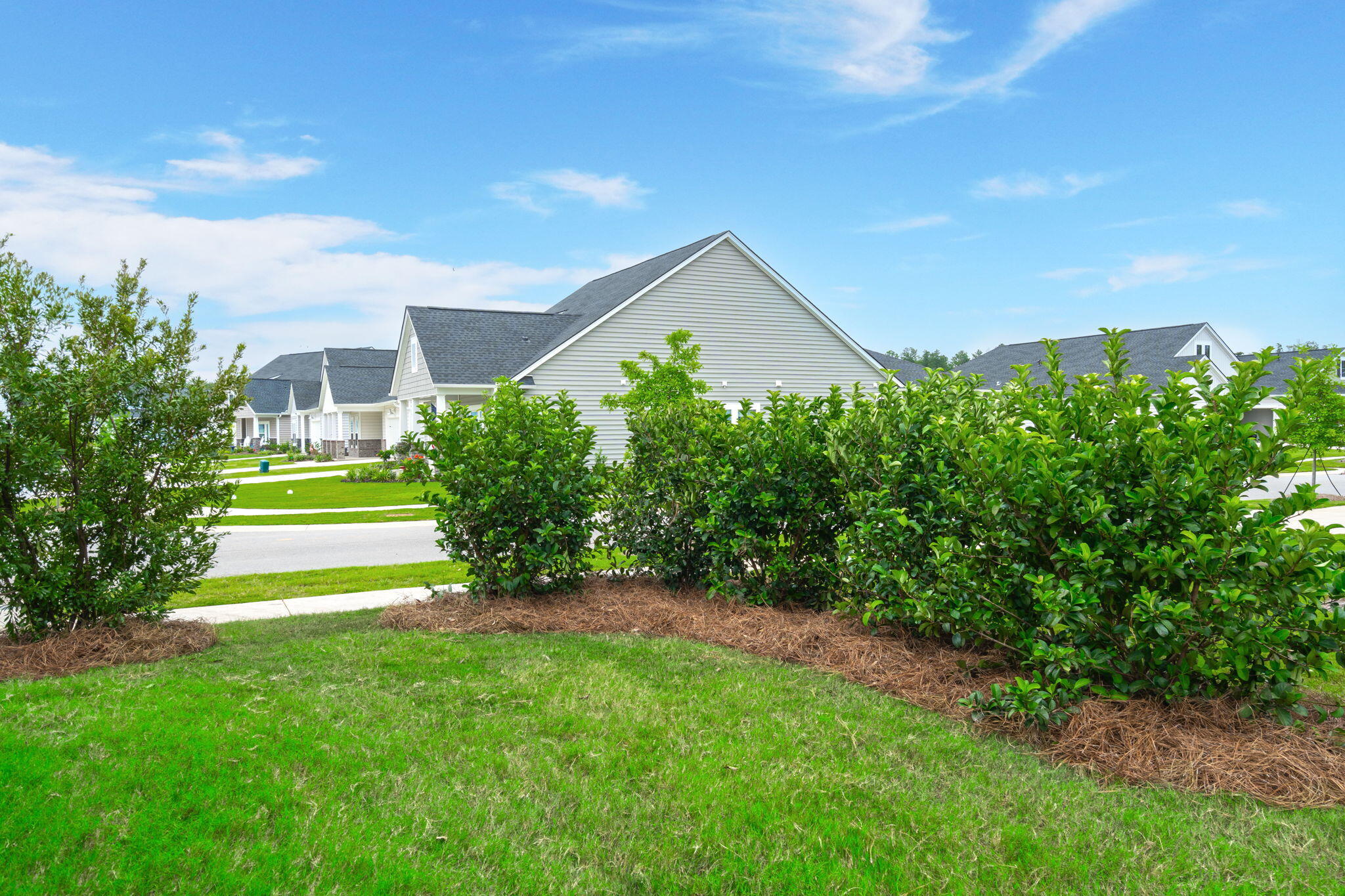 1150 Cooper Point Street Summerville, SC 29485 - Photo 50 of 60 12