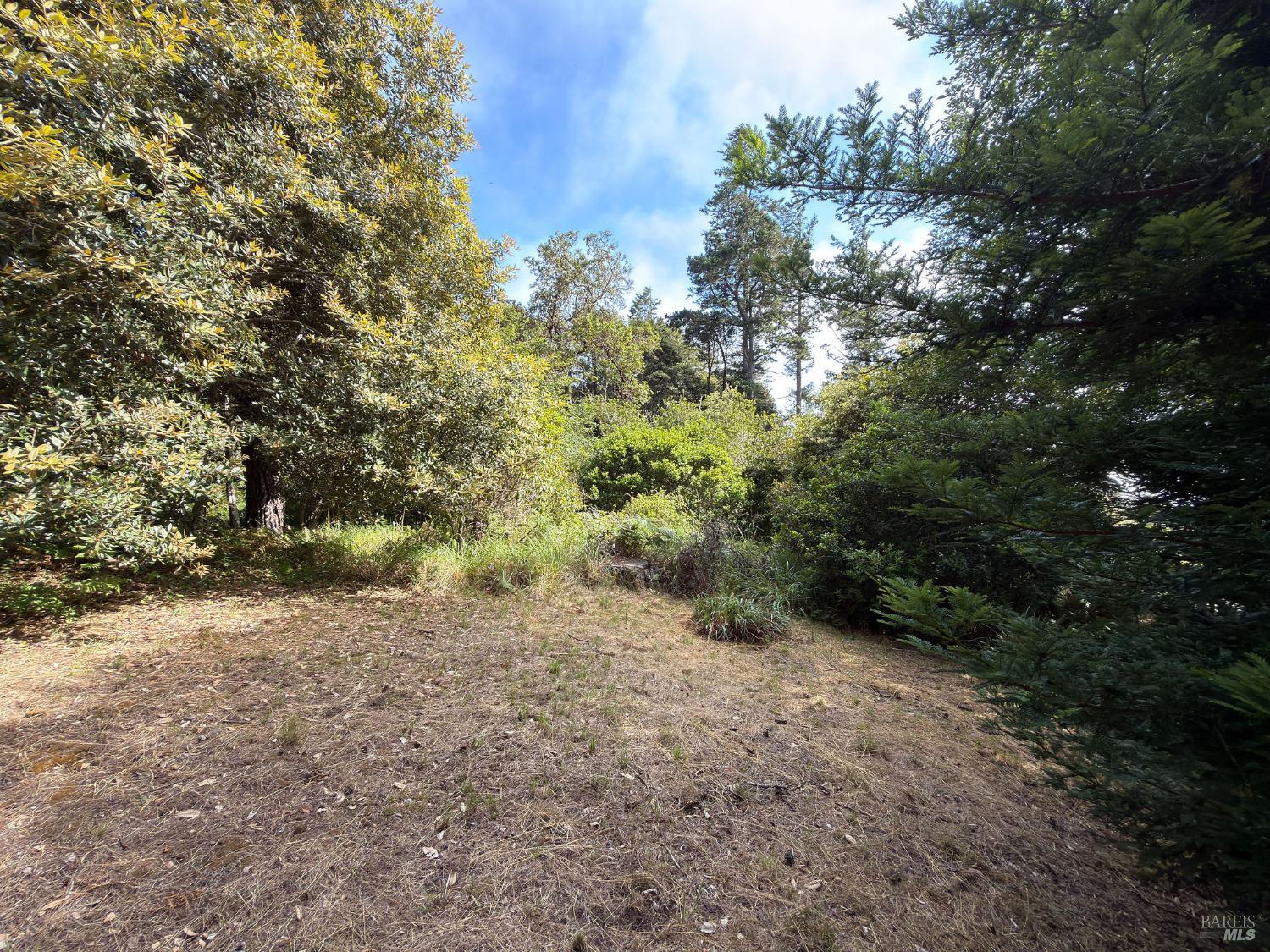76 Compass Close The Sea Ranch, CA 95497 - Photo 2 of 29