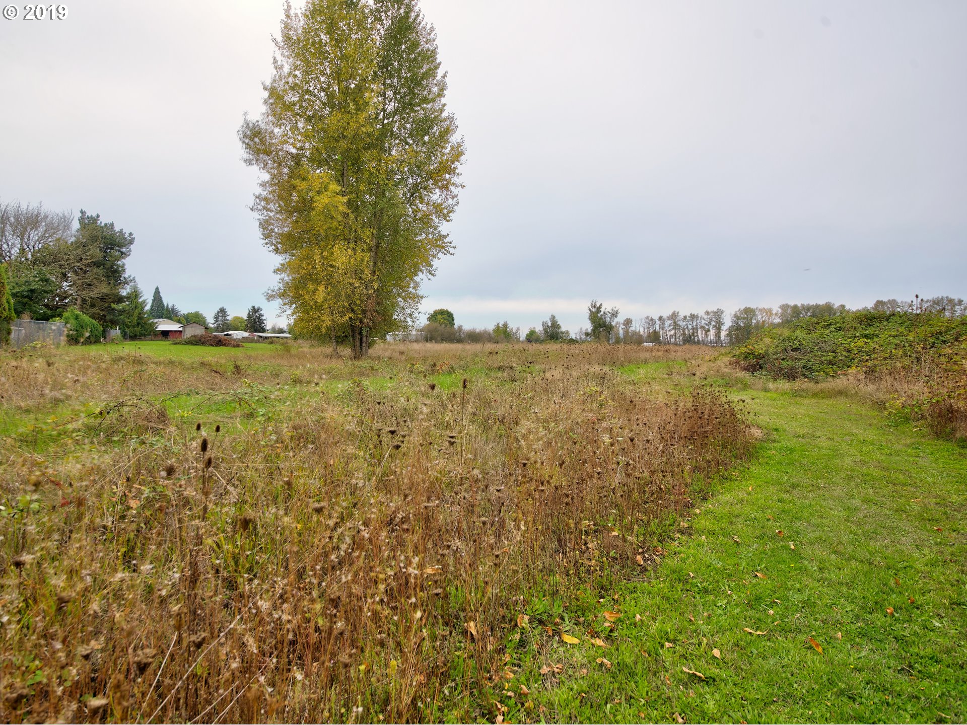 Rd Road Albany, OR 97321 - Photo 3 of 10 Gallery Image 3