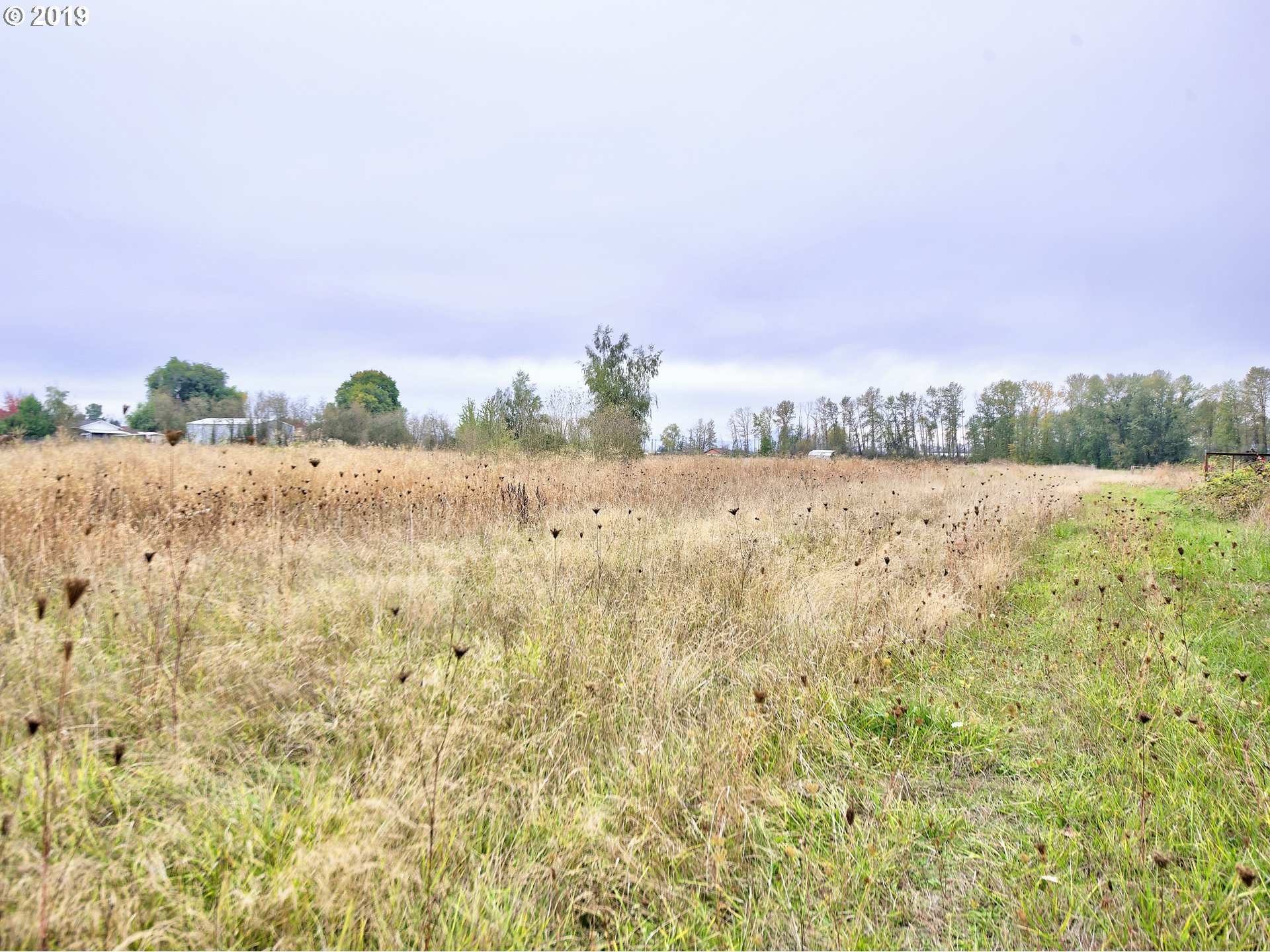 Rd Road Albany, OR 97321 - Photo 5 of 10 Gallery Image 5