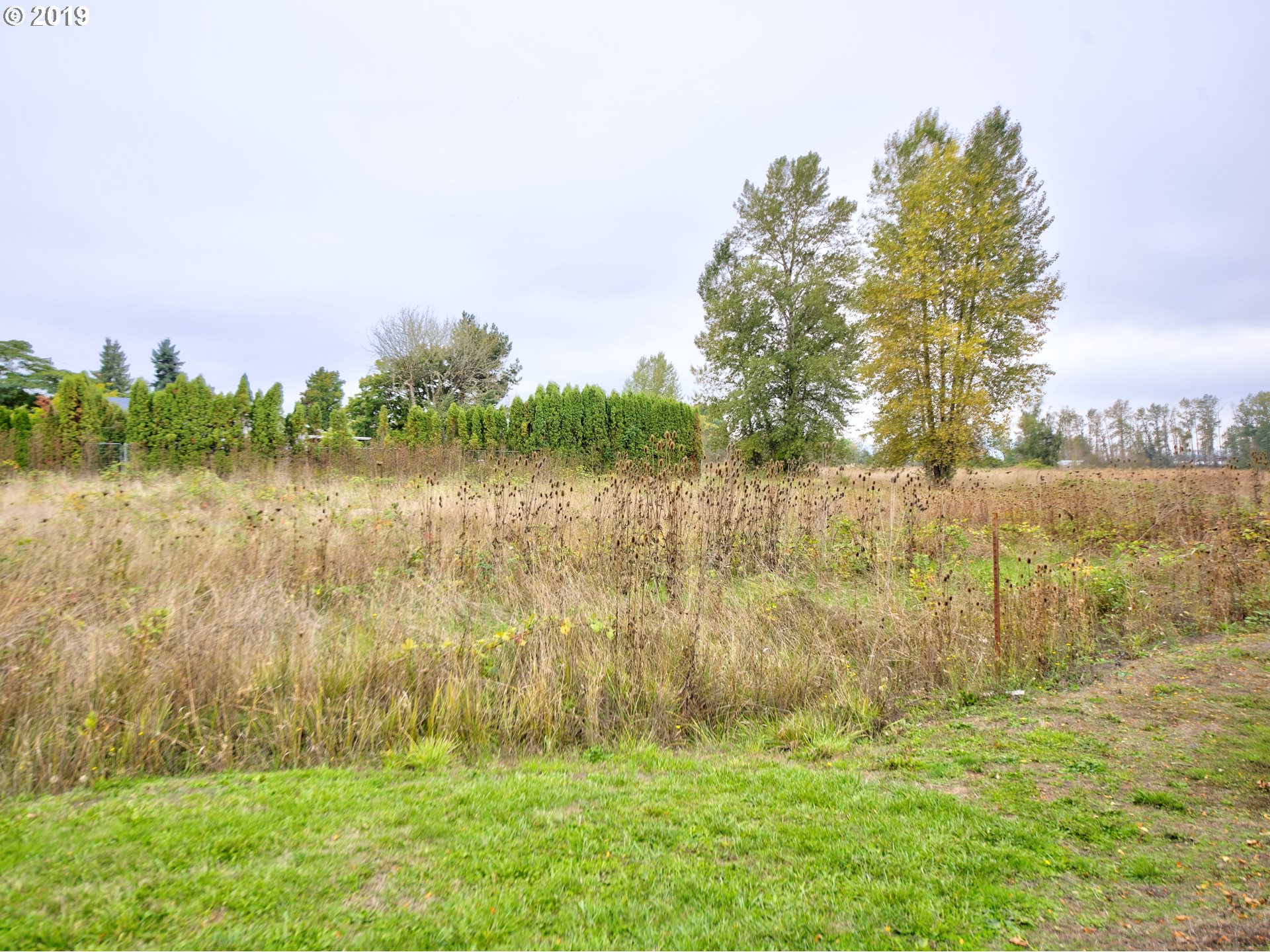 Rd Road Albany, OR 97321 - Photo 6 of 10 Gallery Image 6