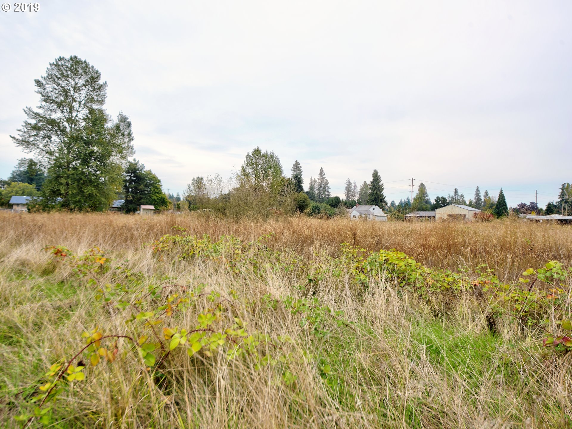 Rd Road Albany, OR 97321 - Photo 8 of 10 Gallery Image 8