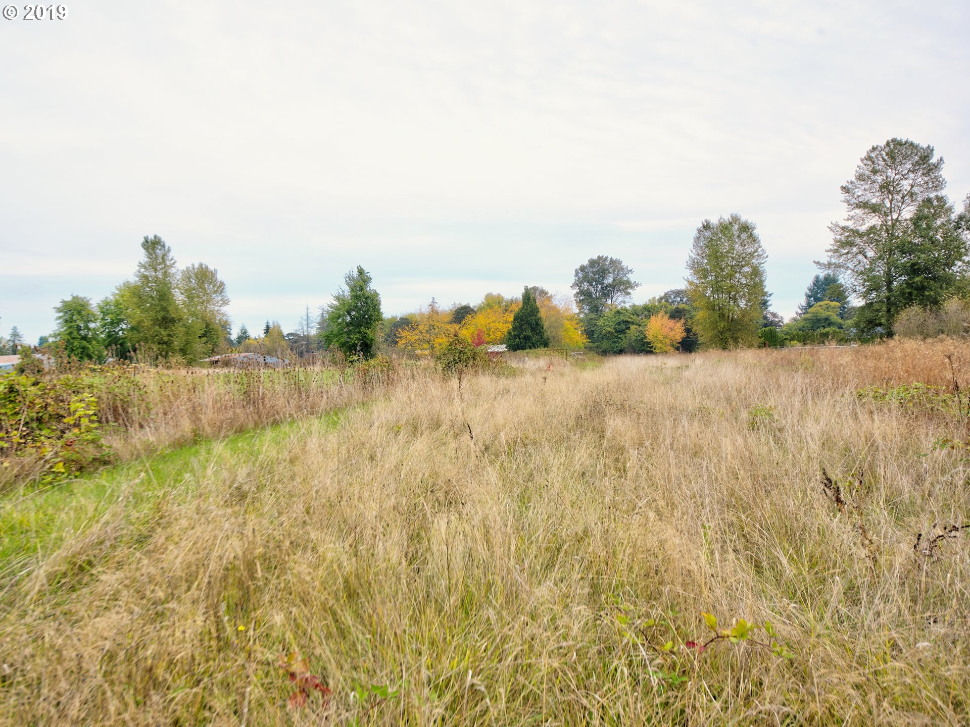 Rd Road Albany, OR 97321 - Photo 9 of 10 Gallery Image 9