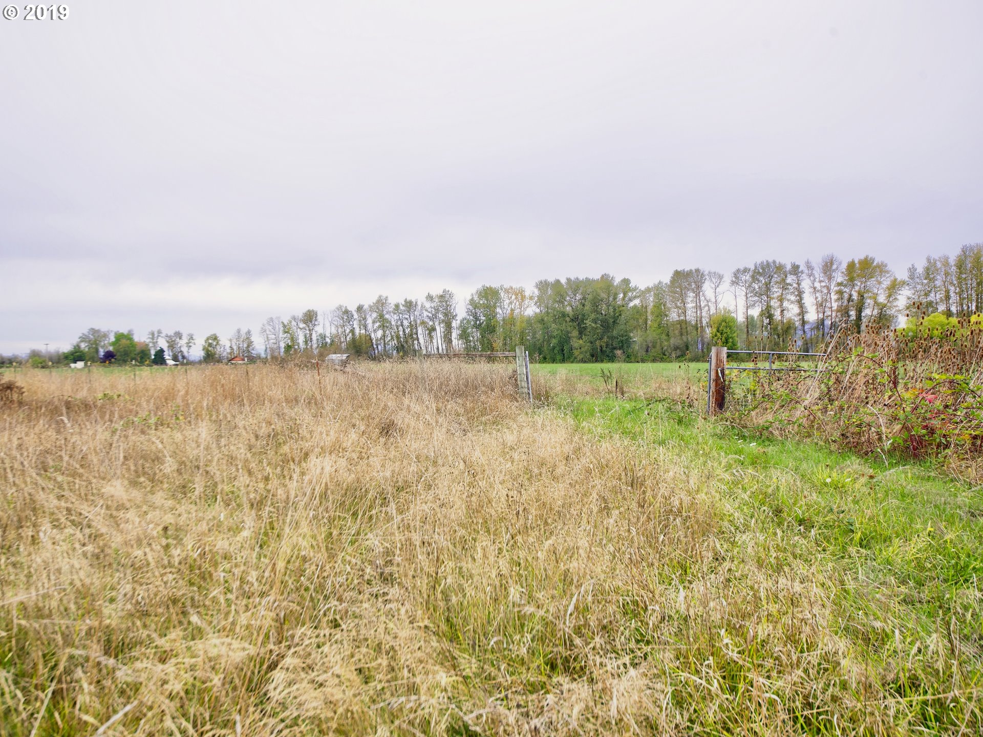 Rd Road Albany, OR 97321 - Photo 10 of 10 Gallery Image 10