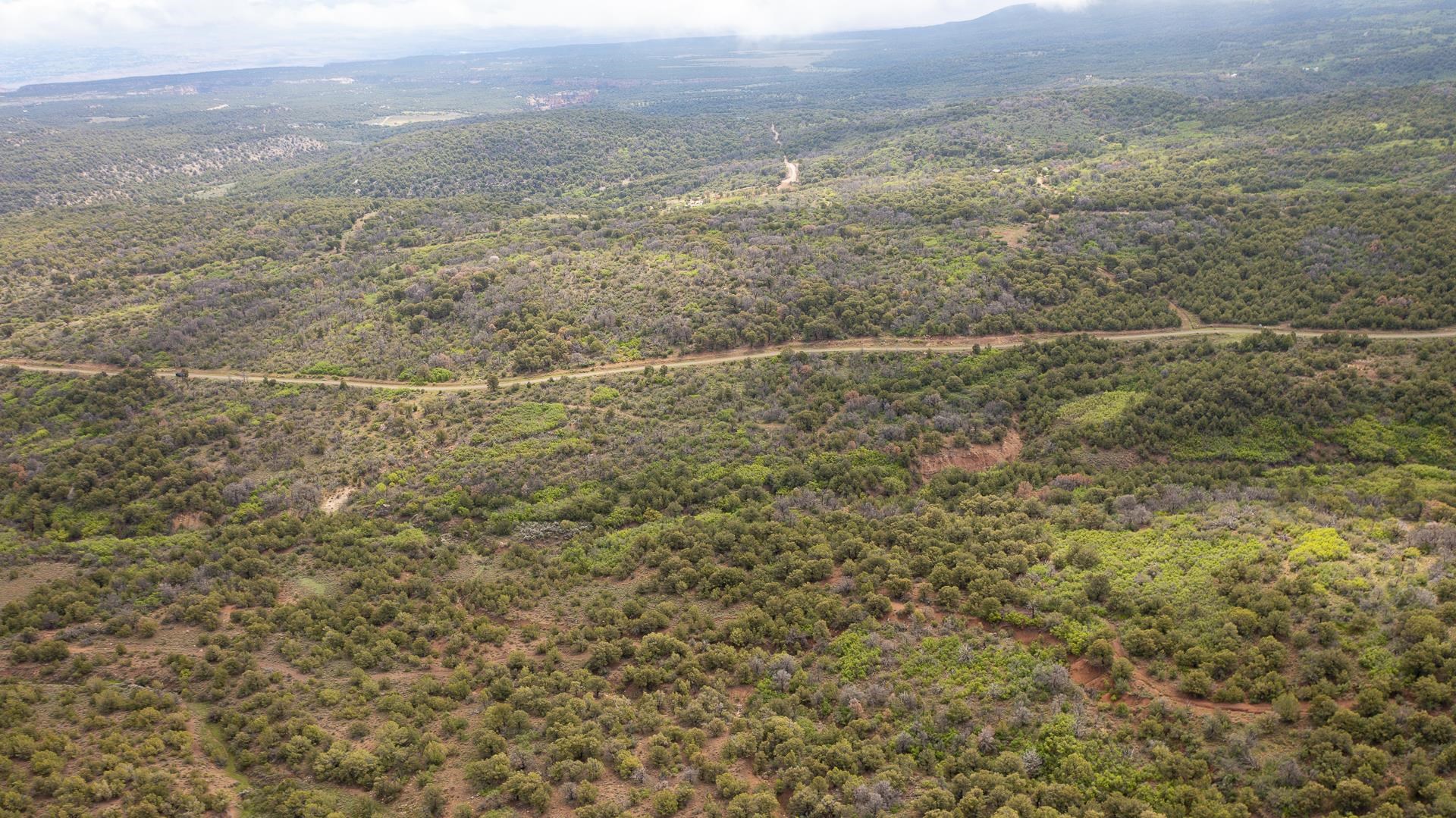 18975 Elk Reserve Road Glade Park, CO 81523 - Photo 6 of 10