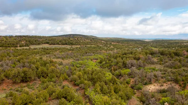$349,900 | 18975 Elk Reserve Road, Glade Park, CO 81523