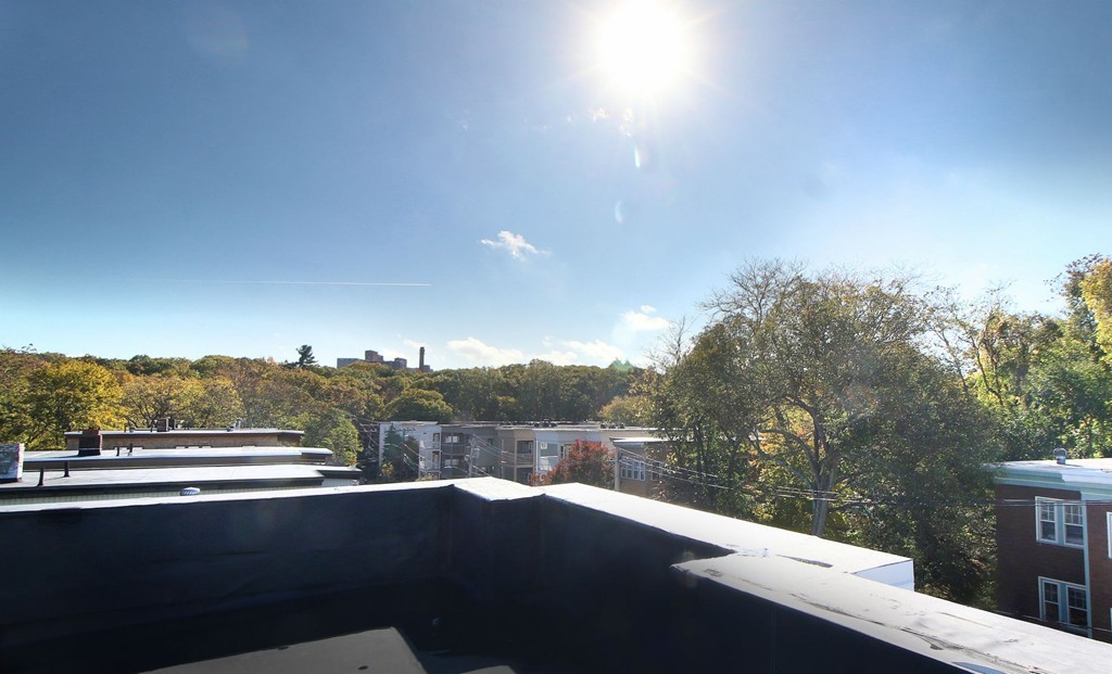 74 Brookley Road, Unit 3 Boston, MA 02130 - Photo 20 of 21