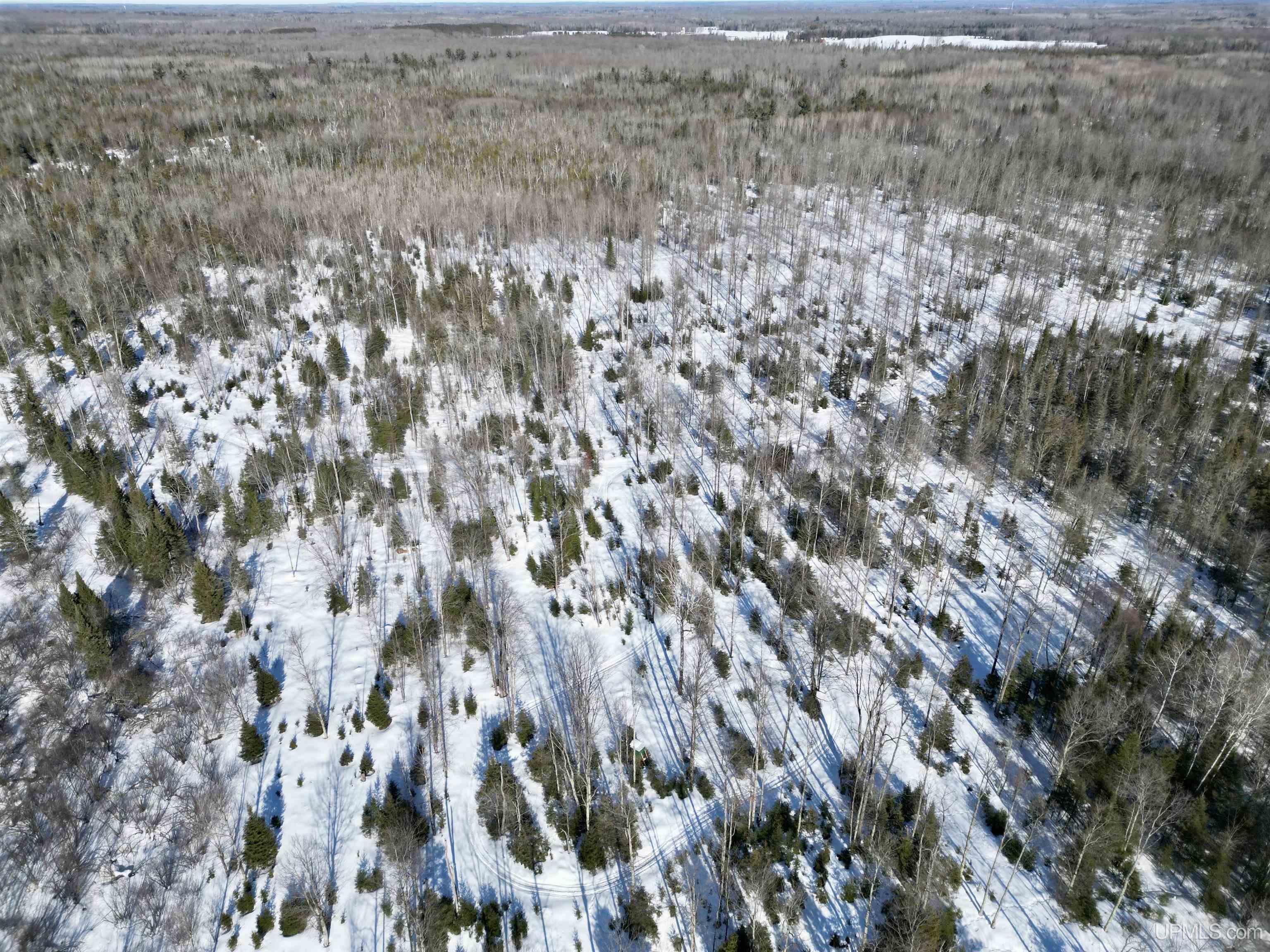 7140 Osier 40th Road Rapid River, MI 49878 - Photo 4 of 22