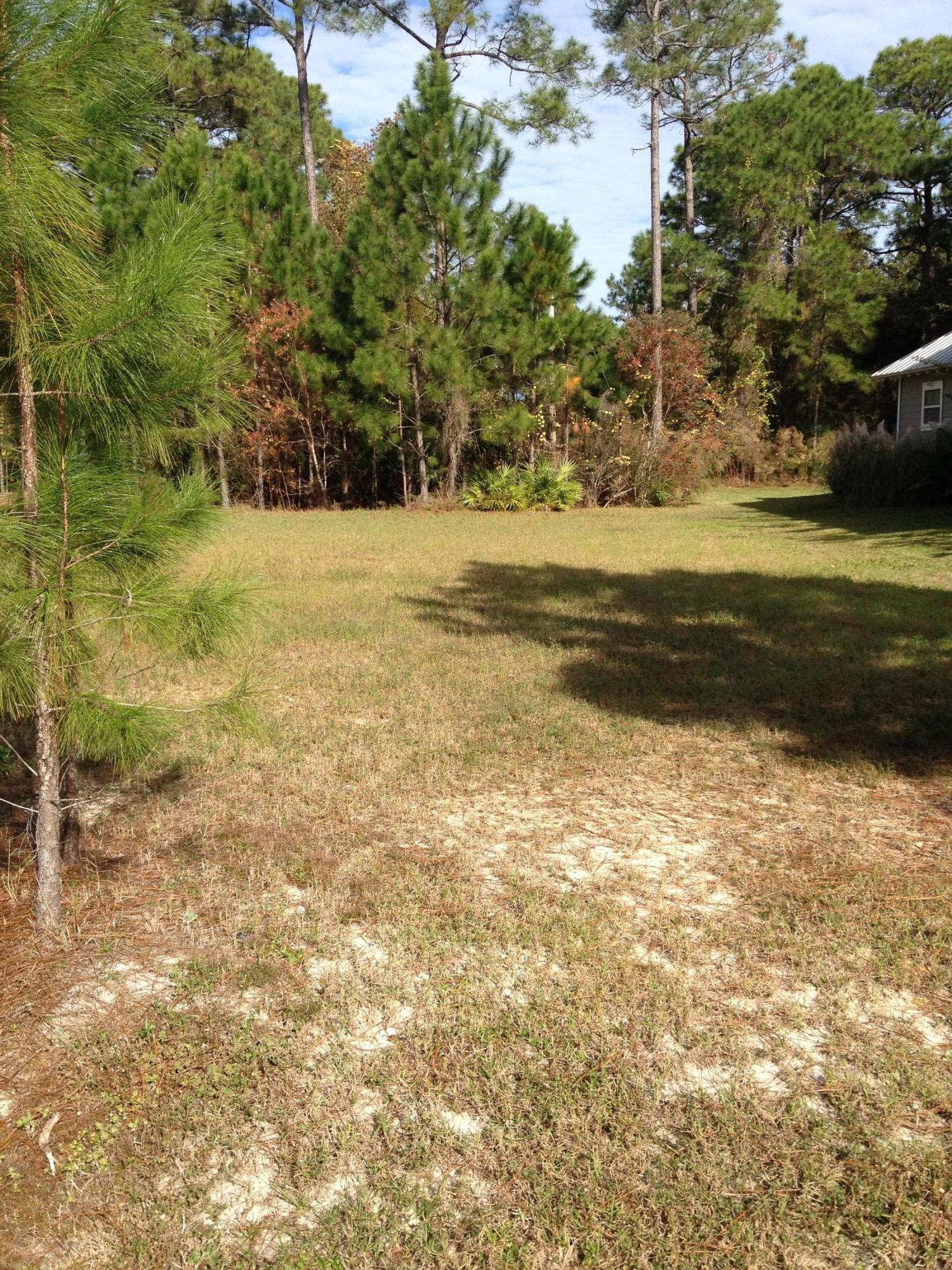 a view of a yard with an trees