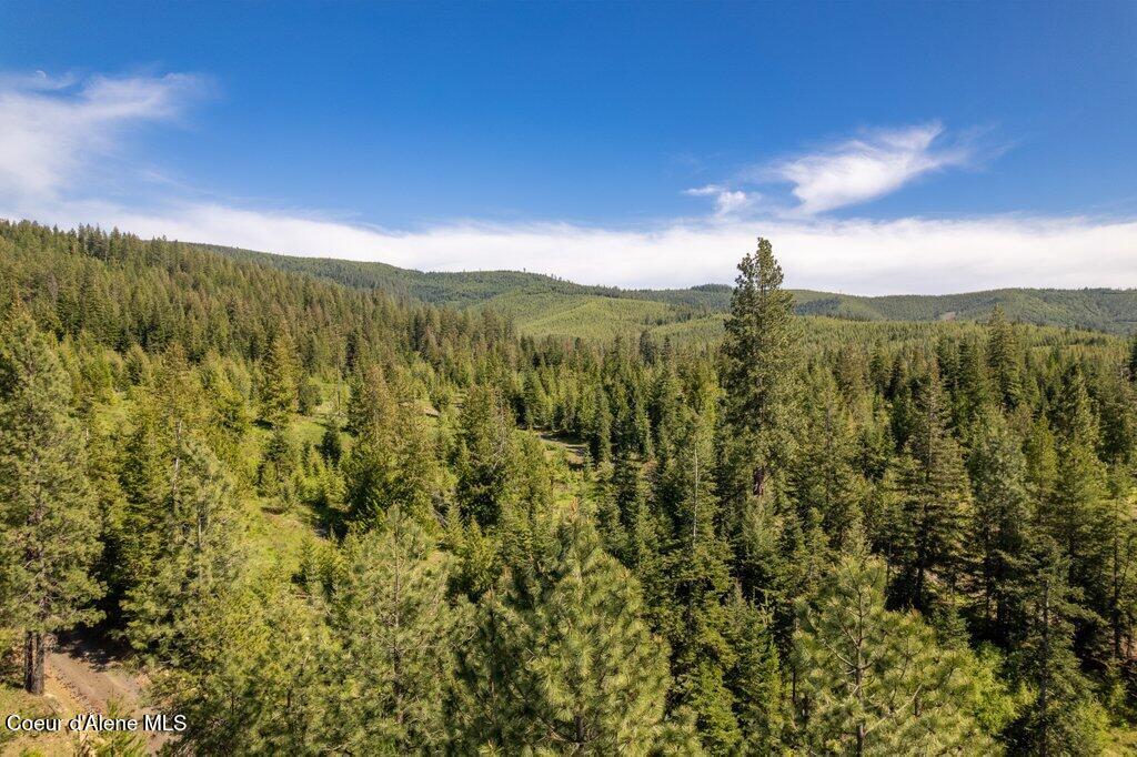 Nka Waddell Road St. Maries, ID 83861 - Photo 12 of 22 012-nkanextto1312WaddellRoad-SaintMaries