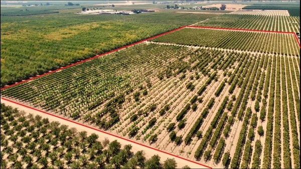a view of swimming pool from a balcony