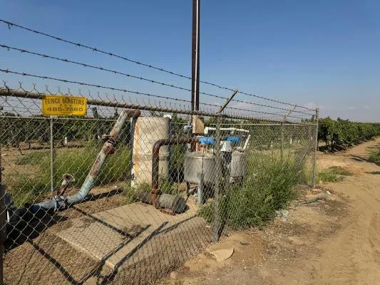 a view of a backyard with plants