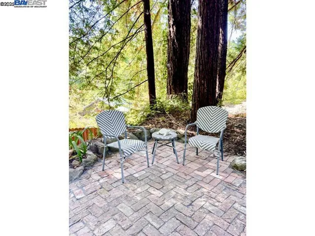 a outdoor living space with furniture and a potted plant