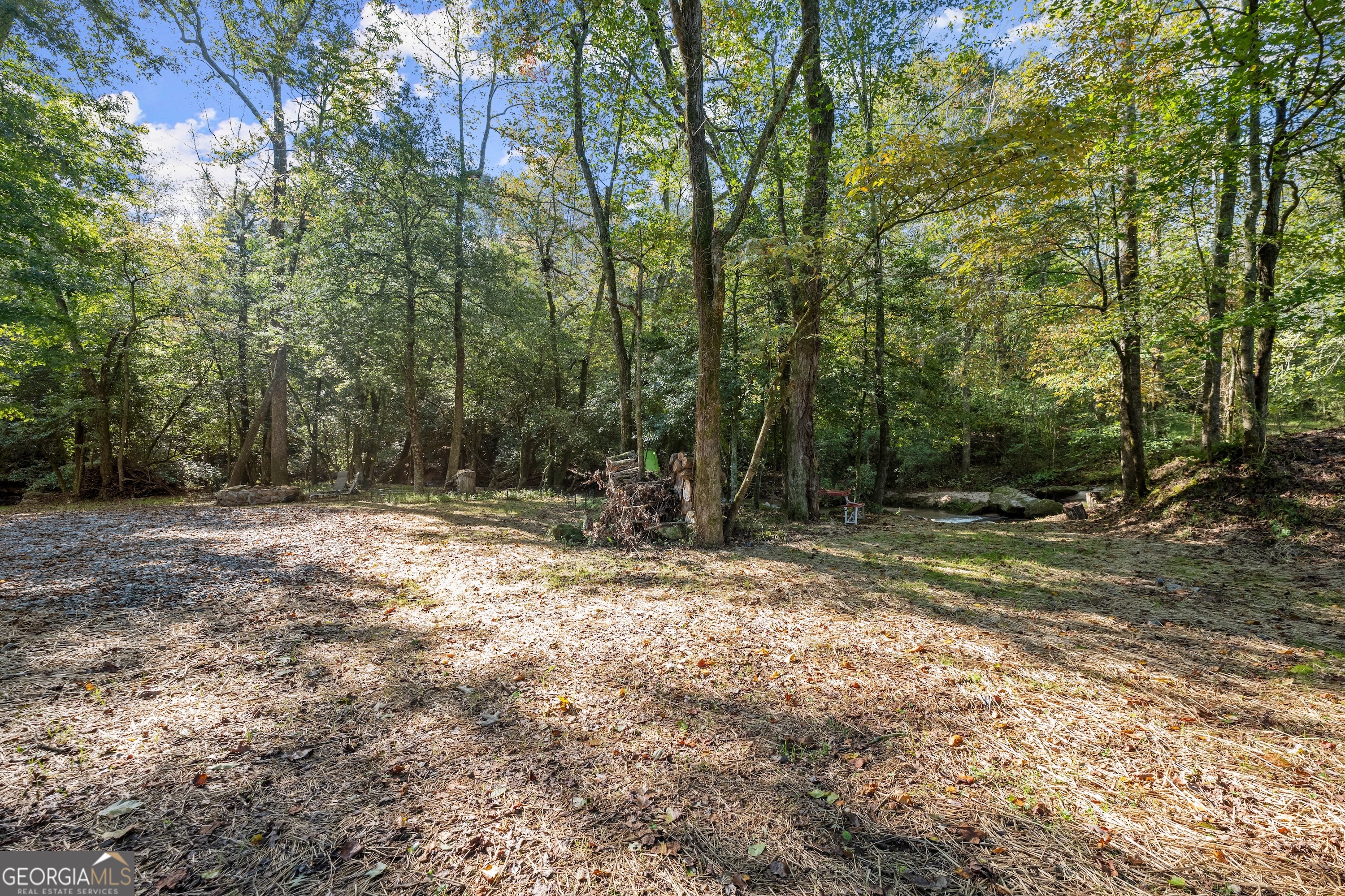 0 Ray Palmer Road Cleveland, GA 30528 - Photo 14 of 20 a view of outdoor space with trees