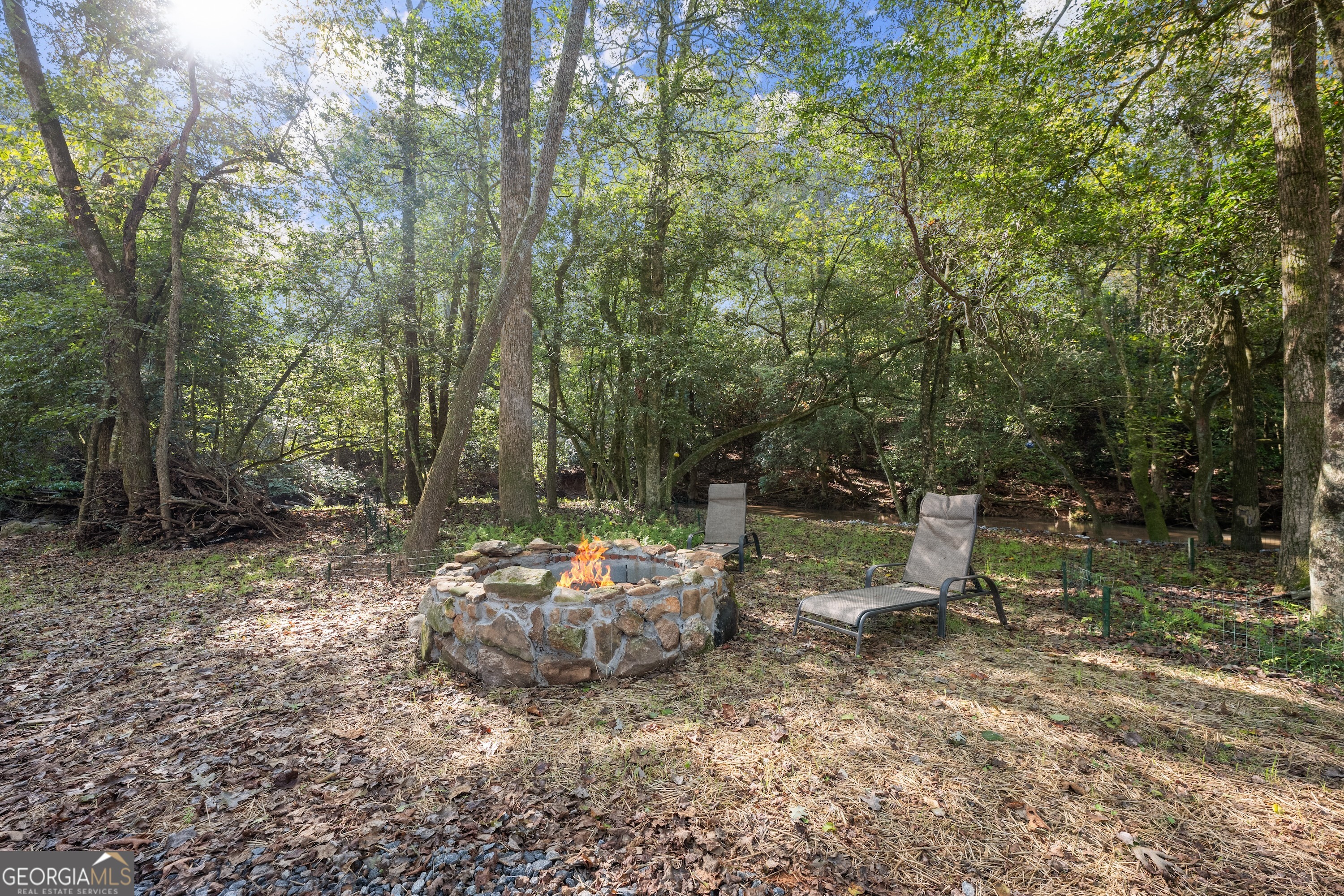 0 Ray Palmer Road Cleveland, GA 30528 - Photo 16 of 20 a view of a park with large trees