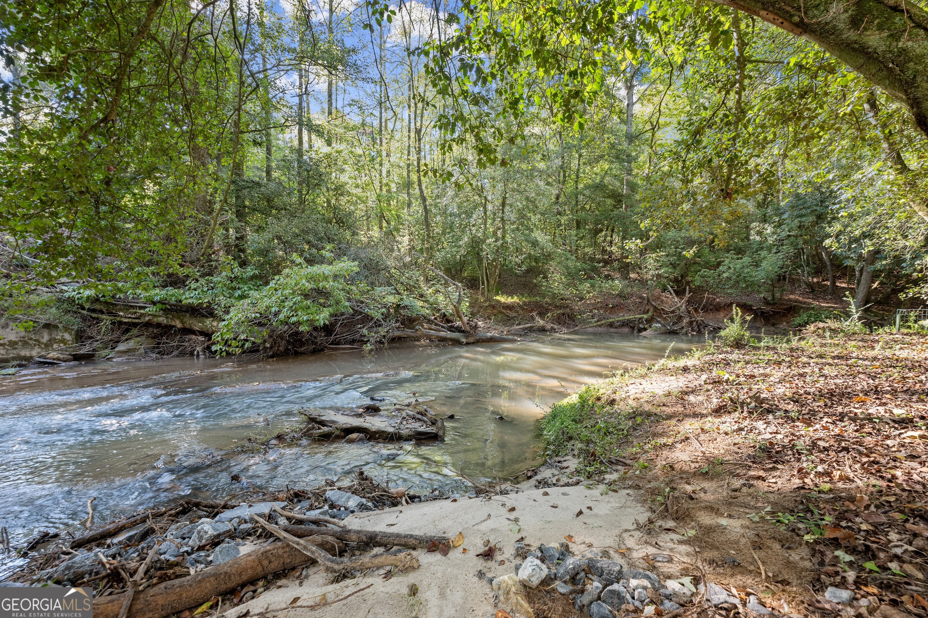 0 Ray Palmer Road Cleveland, GA 30528 - Photo 18 of 20 a view of a yard with plants and trees