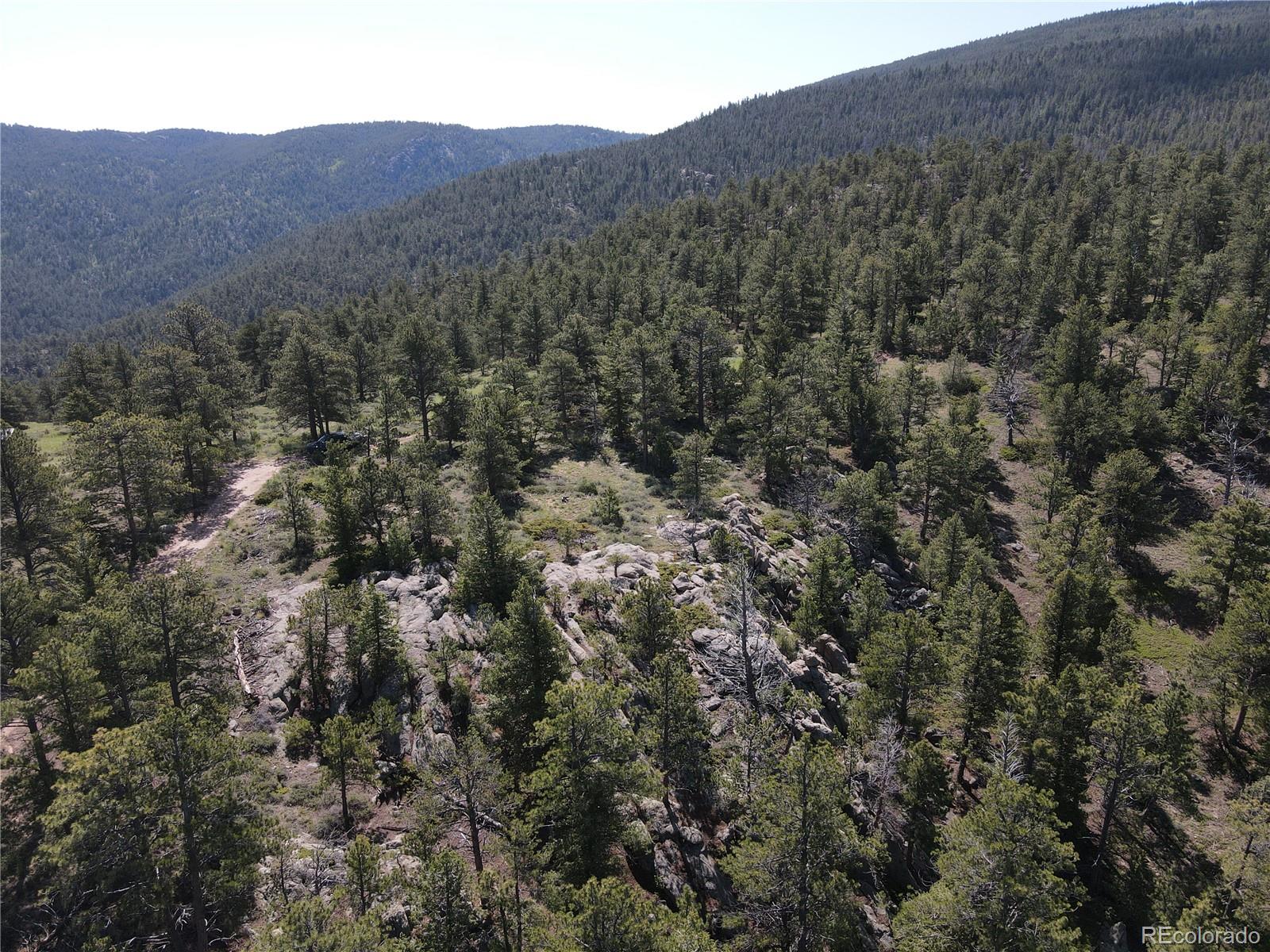 591599 Soul Shine Road Drake, CO 80515 - Photo 18 of 50 a view of a lush green forest with mountains in the background