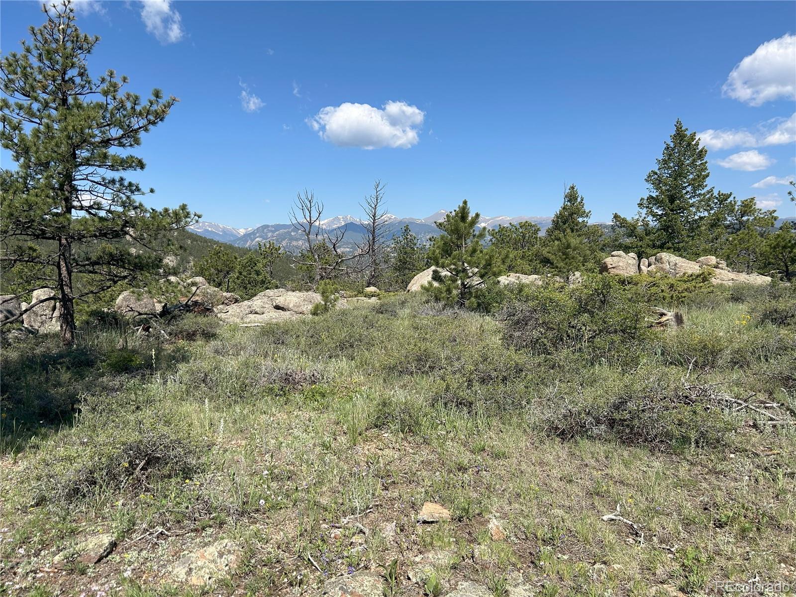 591599 Soul Shine Road Drake, CO 80515 - Photo 19 of 50 a view of a houses with a yard