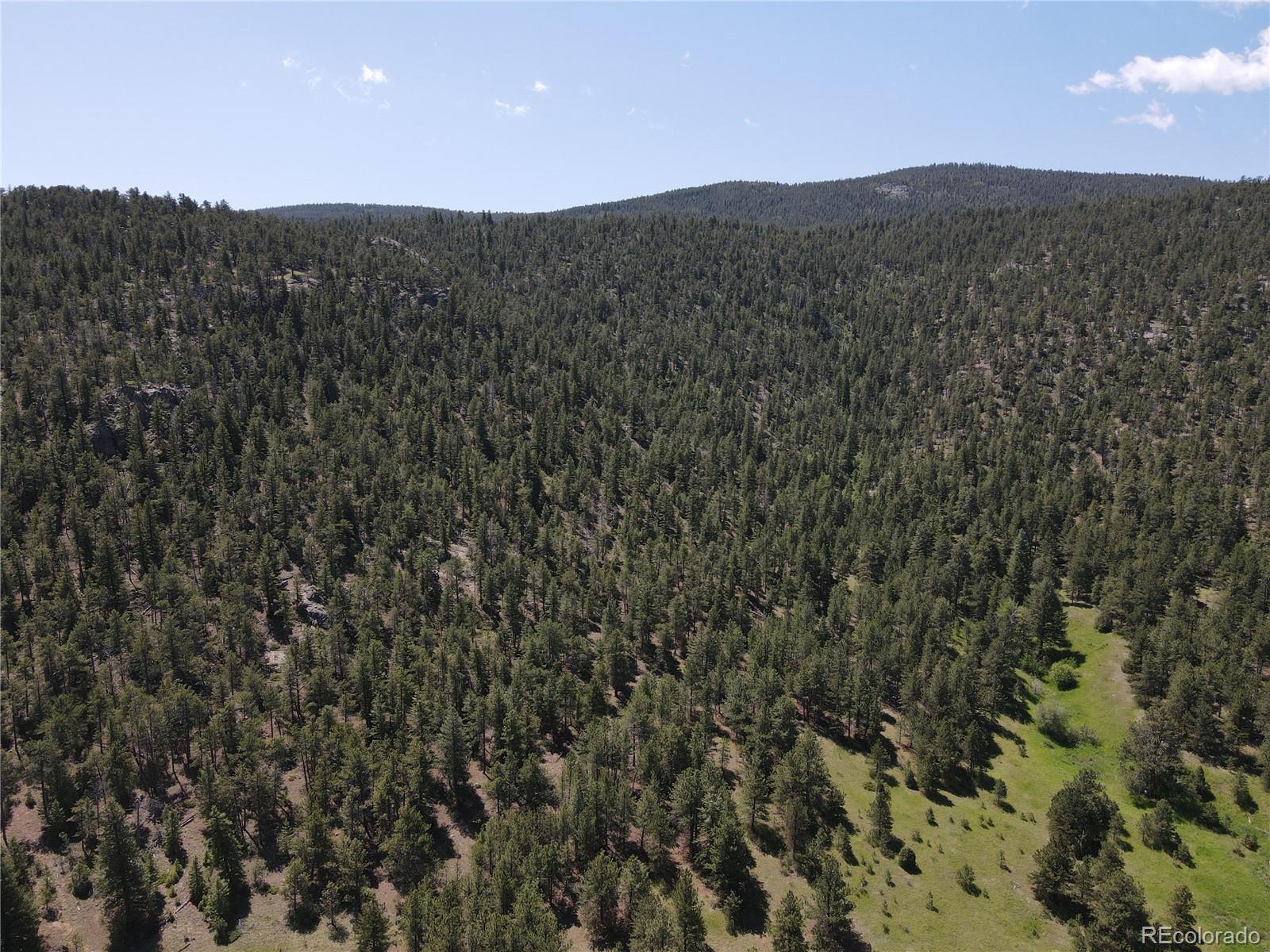 591599 Soul Shine Road Drake, CO 80515 - Photo 22 of 50 a view of a mountain range with trees in the background