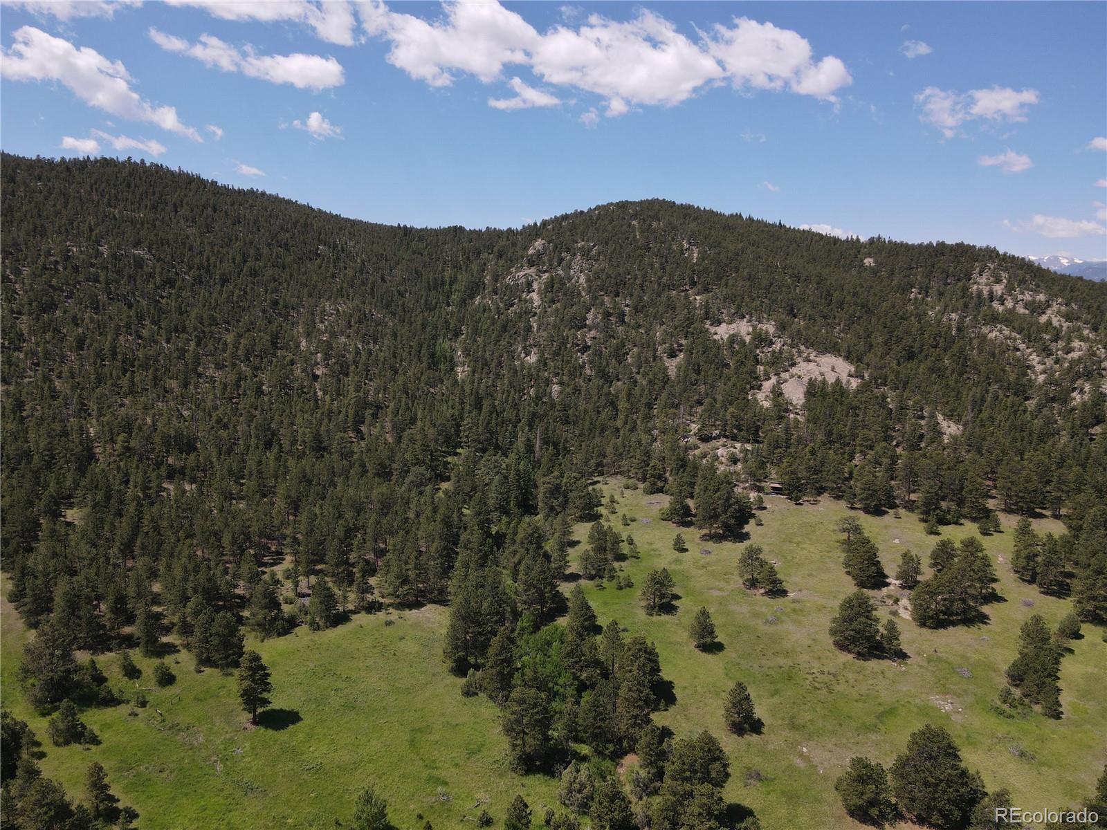 591599 Soul Shine Road Drake, CO 80515 - Photo 23 of 50 a view of a mountain in the distance