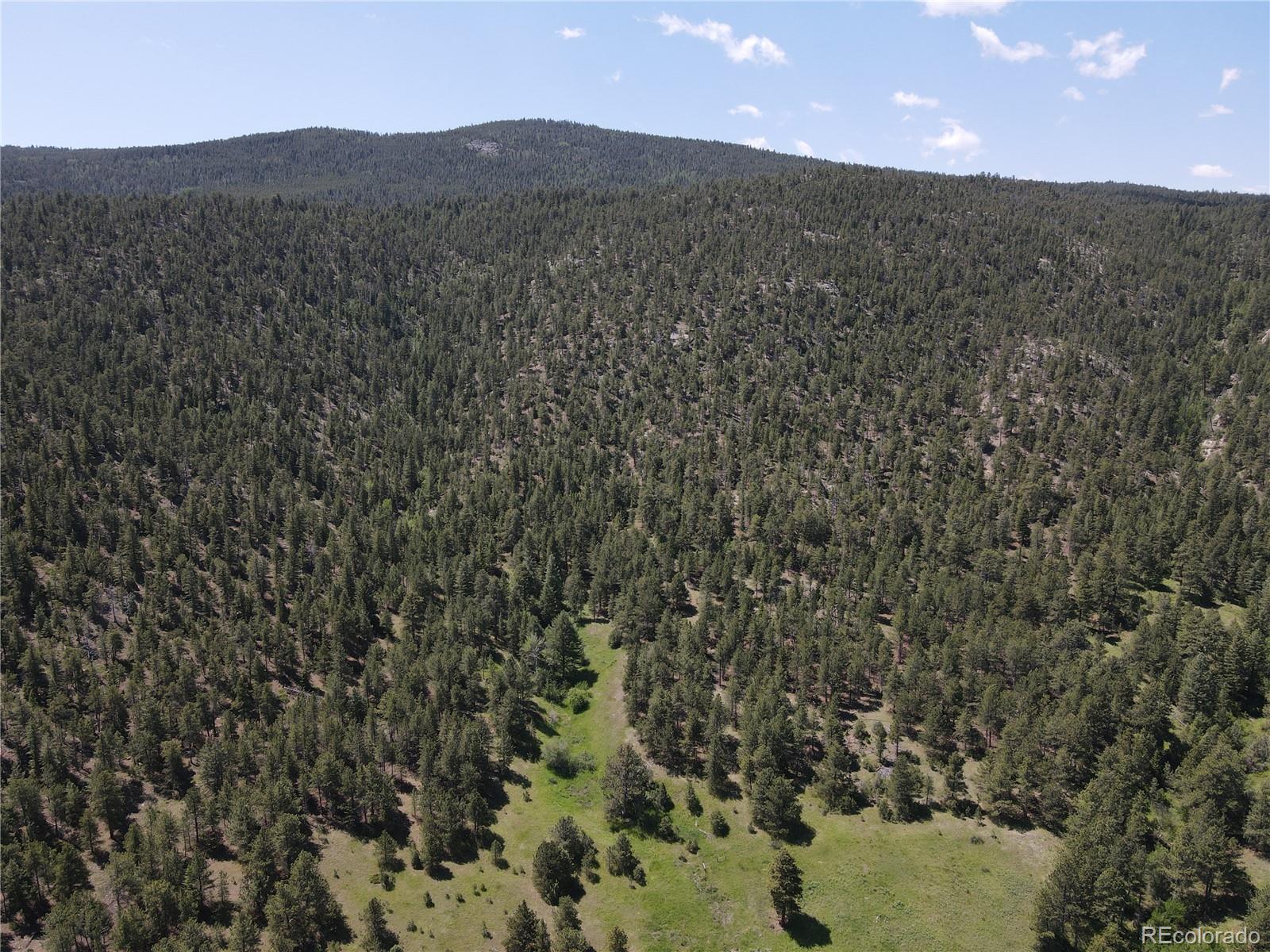 591599 Soul Shine Road Drake, CO 80515 - Photo 25 of 50 a view of a dry yard with mountains in the background