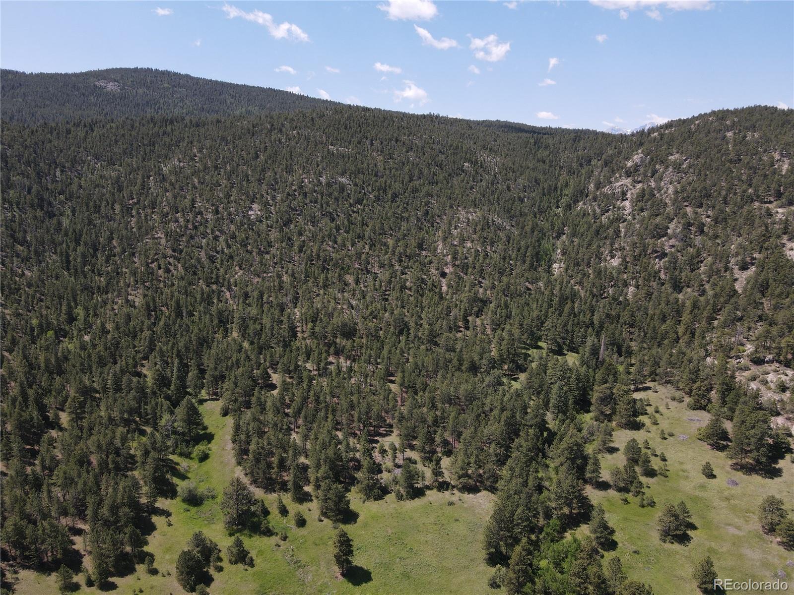 591599 Soul Shine Road Drake, CO 80515 - Photo 26 of 50 a view of a dry yard with mountains in the background