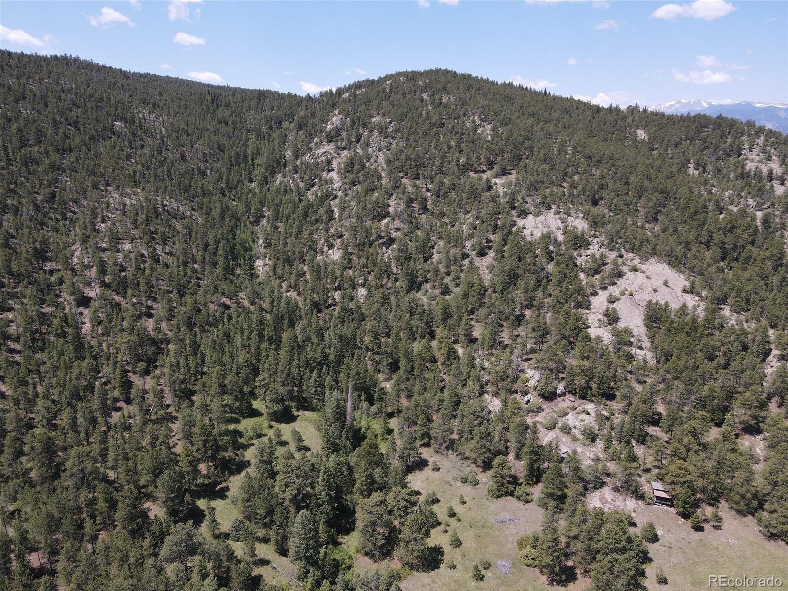 591599 Soul Shine Road Drake, CO 80515 - Photo 27 of 50 a view of a dry yard with mountains in the background