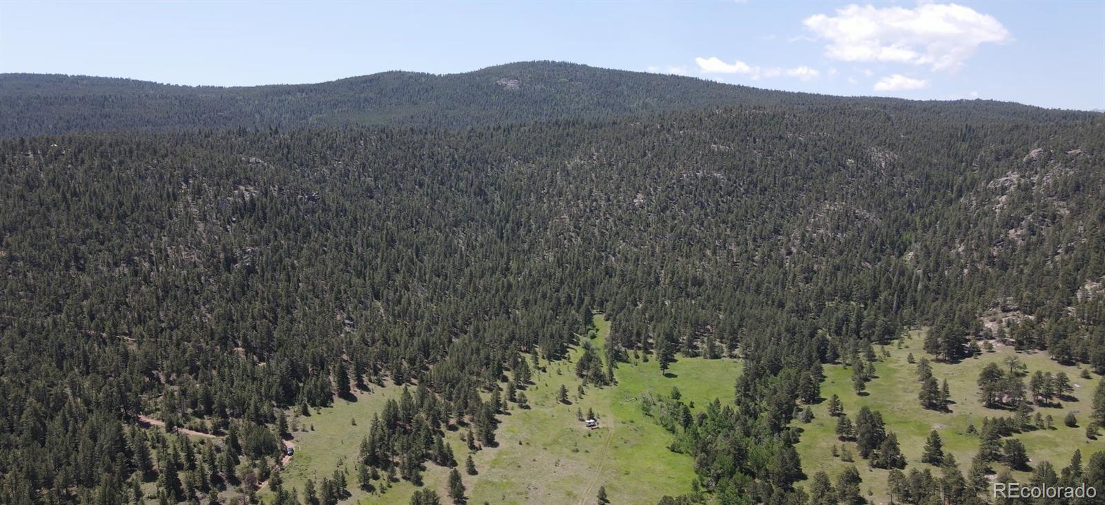 591599 Soul Shine Road Drake, CO 80515 - Photo 28 of 50 a view of a dry yard with mountains in the background