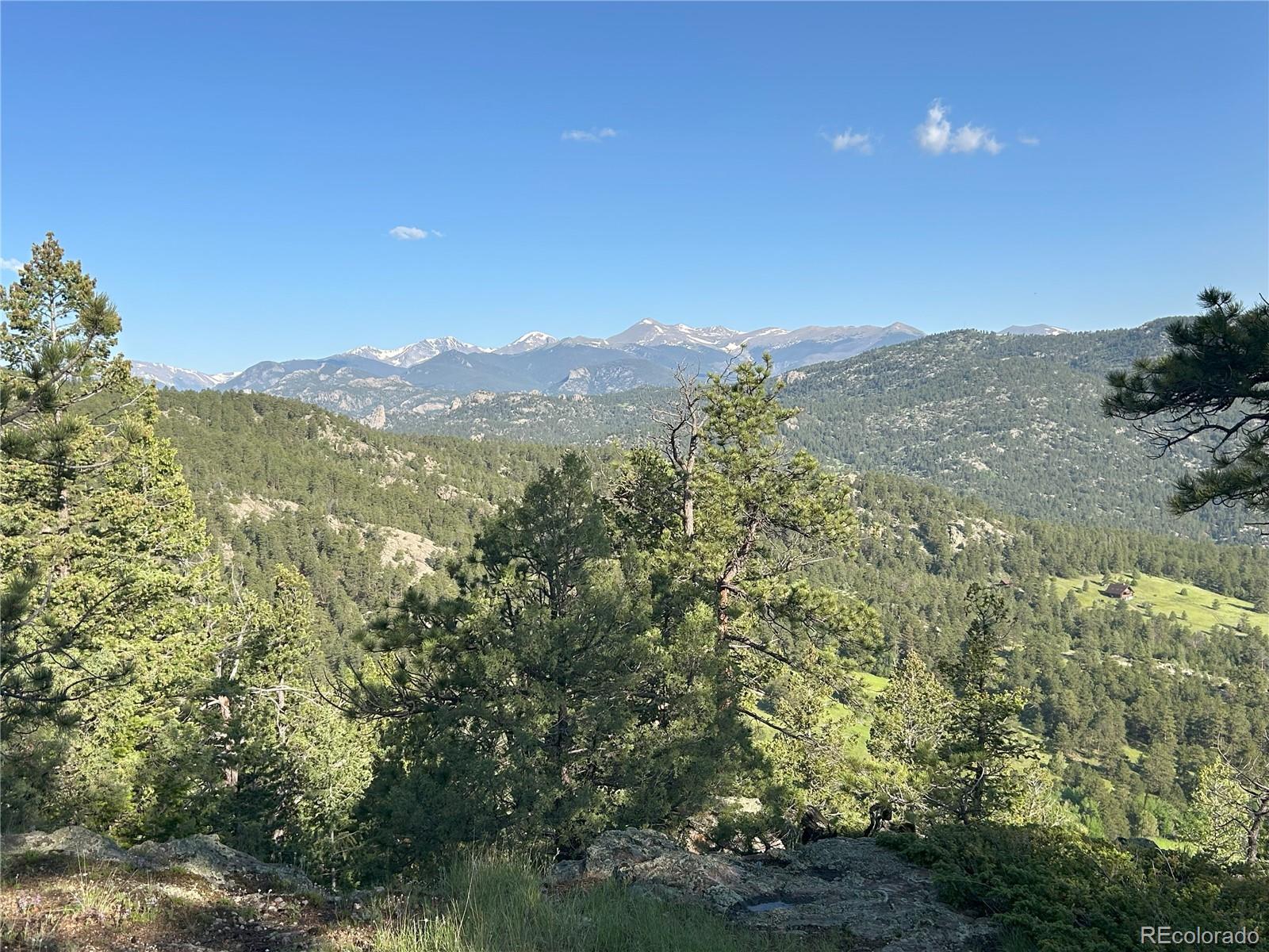 591599 Soul Shine Road Drake, CO 80515 - Photo 31 of 50 a view of a mountain range with trees in the background