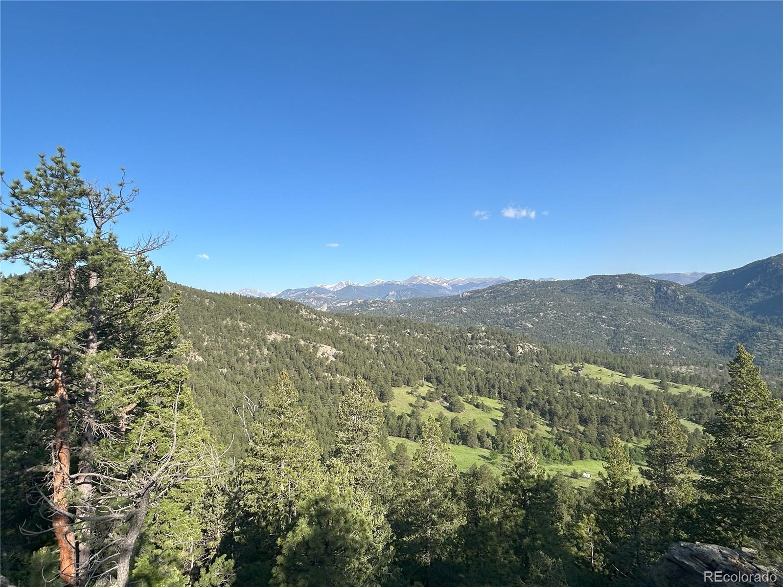 591599 Soul Shine Road Drake, CO 80515 - Photo 32 of 50 a view of a mountain range with a lush green forest