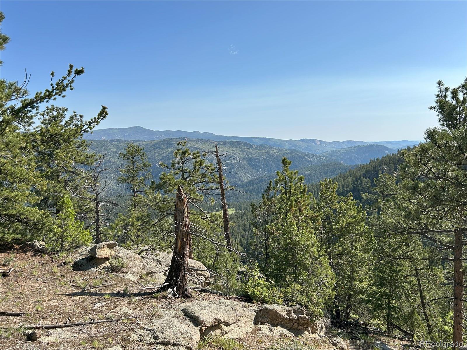 591599 Soul Shine Road Drake, CO 80515 - Photo 35 of 50 a view of a forest with a tree in the background