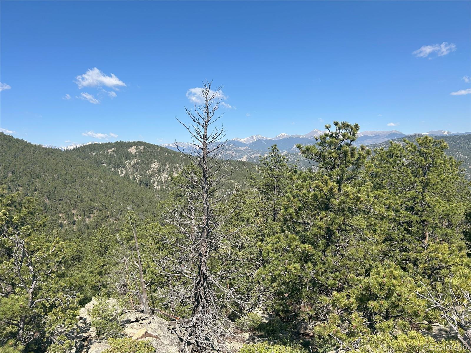 591599 Soul Shine Road Drake, CO 80515 - Photo 40 of 50