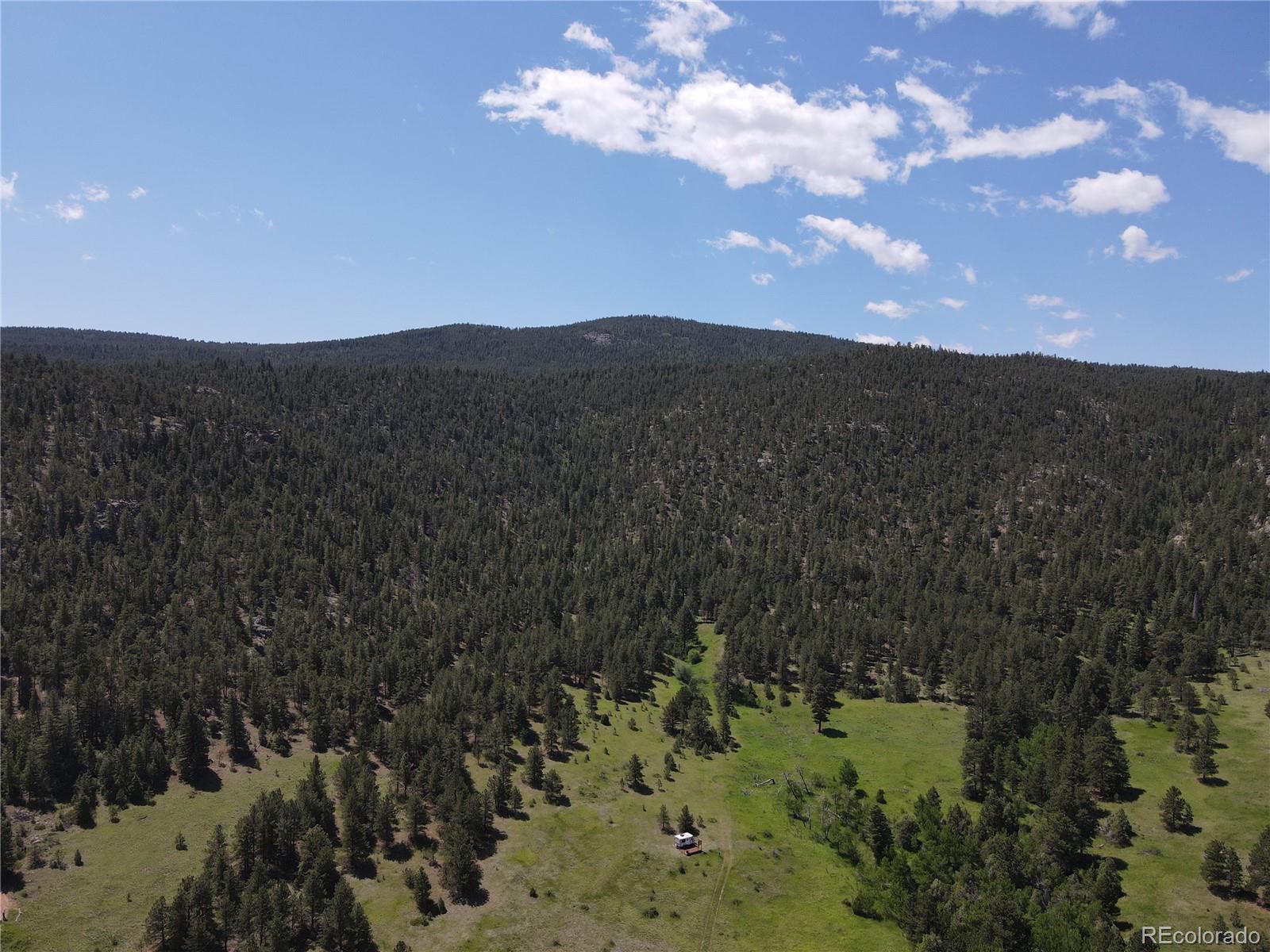 591599 Soul Shine Road Drake, CO 80515 - Photo 4 of 50 a view of a city