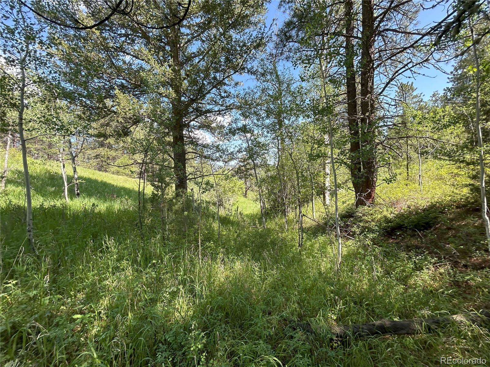 591599 Soul Shine Road Drake, CO 80515 - Photo 43 of 50 a backyard of a house with lots of green space and lake view