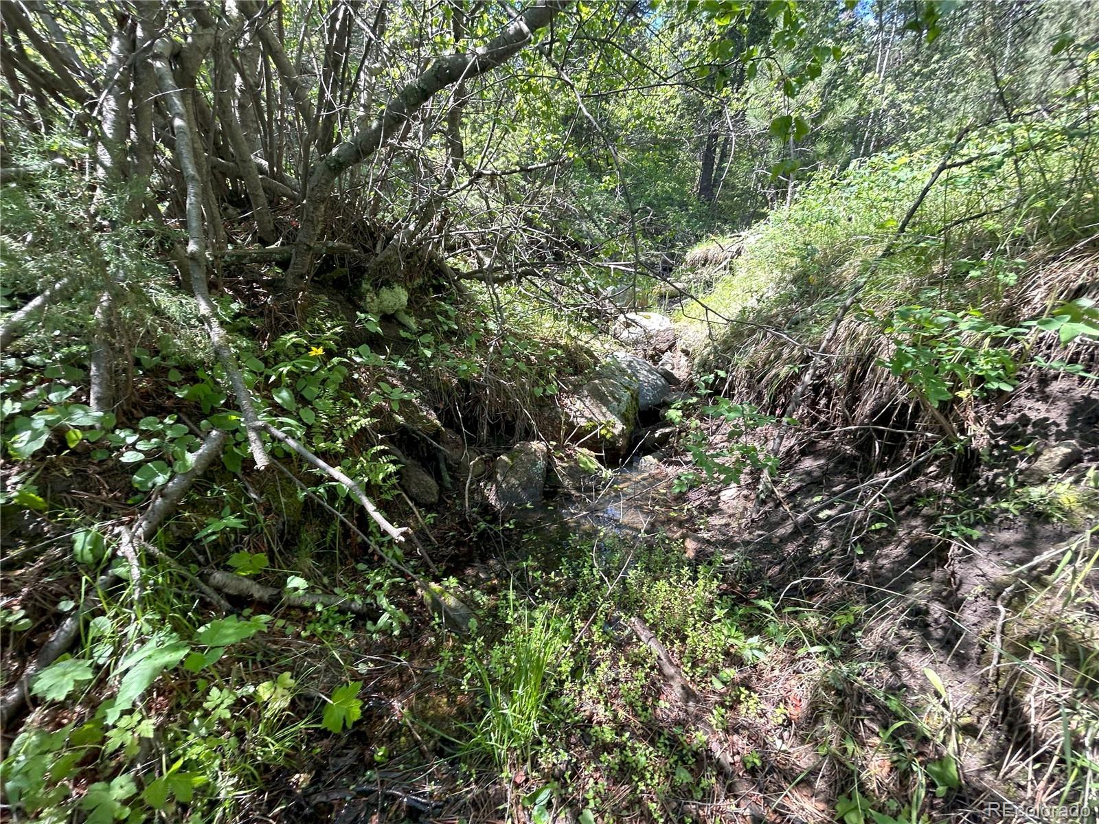 591599 Soul Shine Road Drake, CO 80515 - Photo 45 of 50 a view of a house with a tree