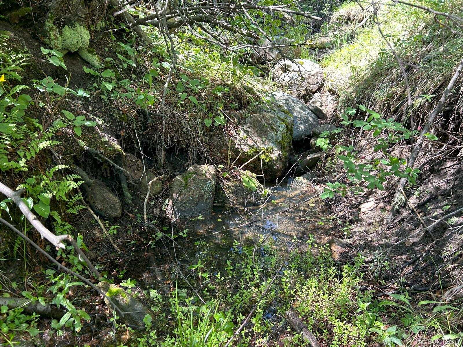 591599 Soul Shine Road Drake, CO 80515 - Photo 46 of 50 a backyard of a house with lots of green space